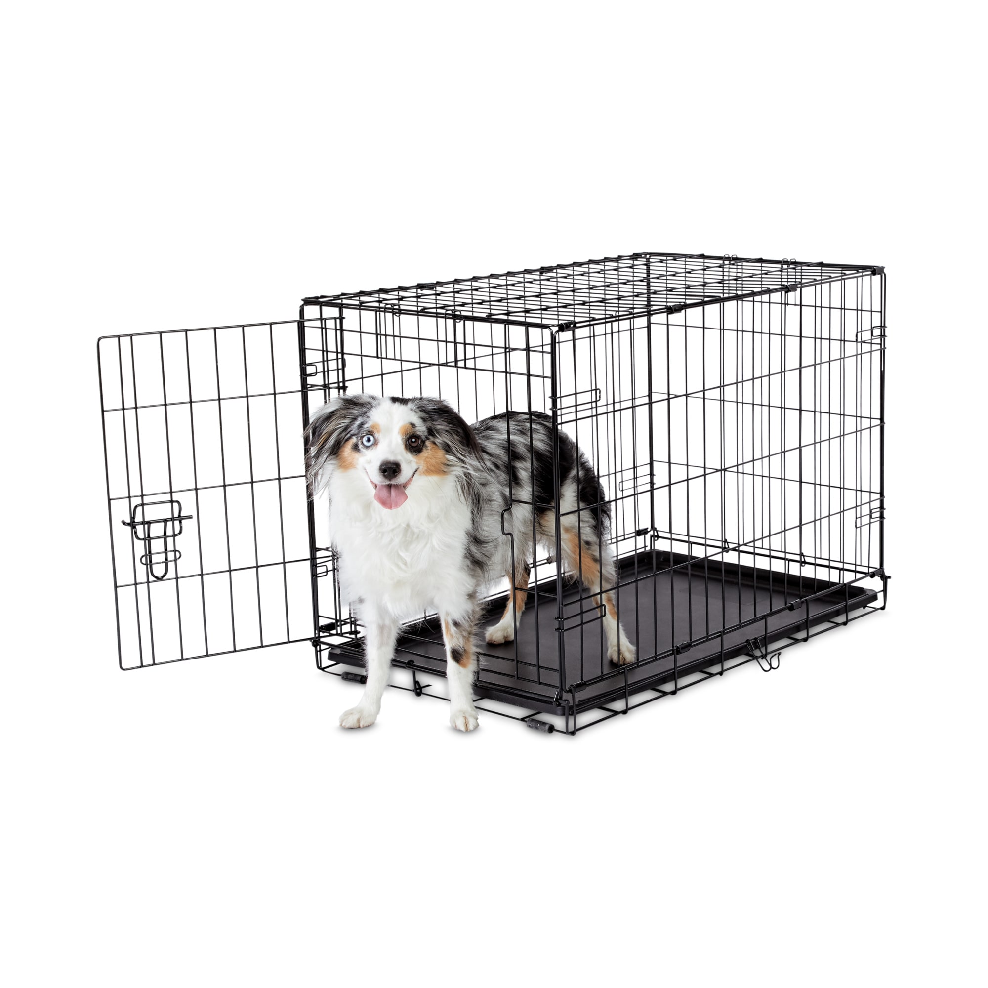 Petco dog clearance crates in store