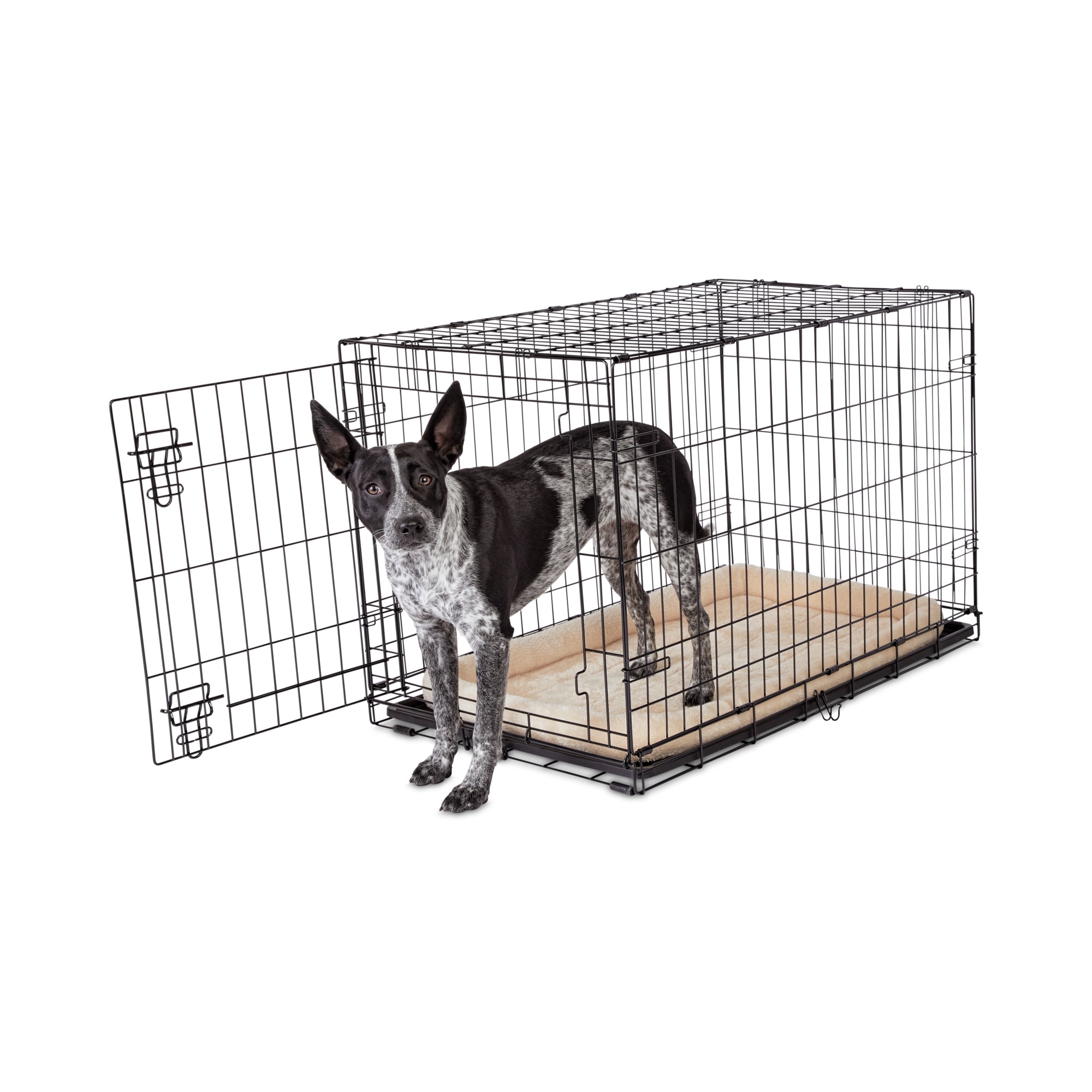 Animaze 1Door Folding Dog Crate eBay