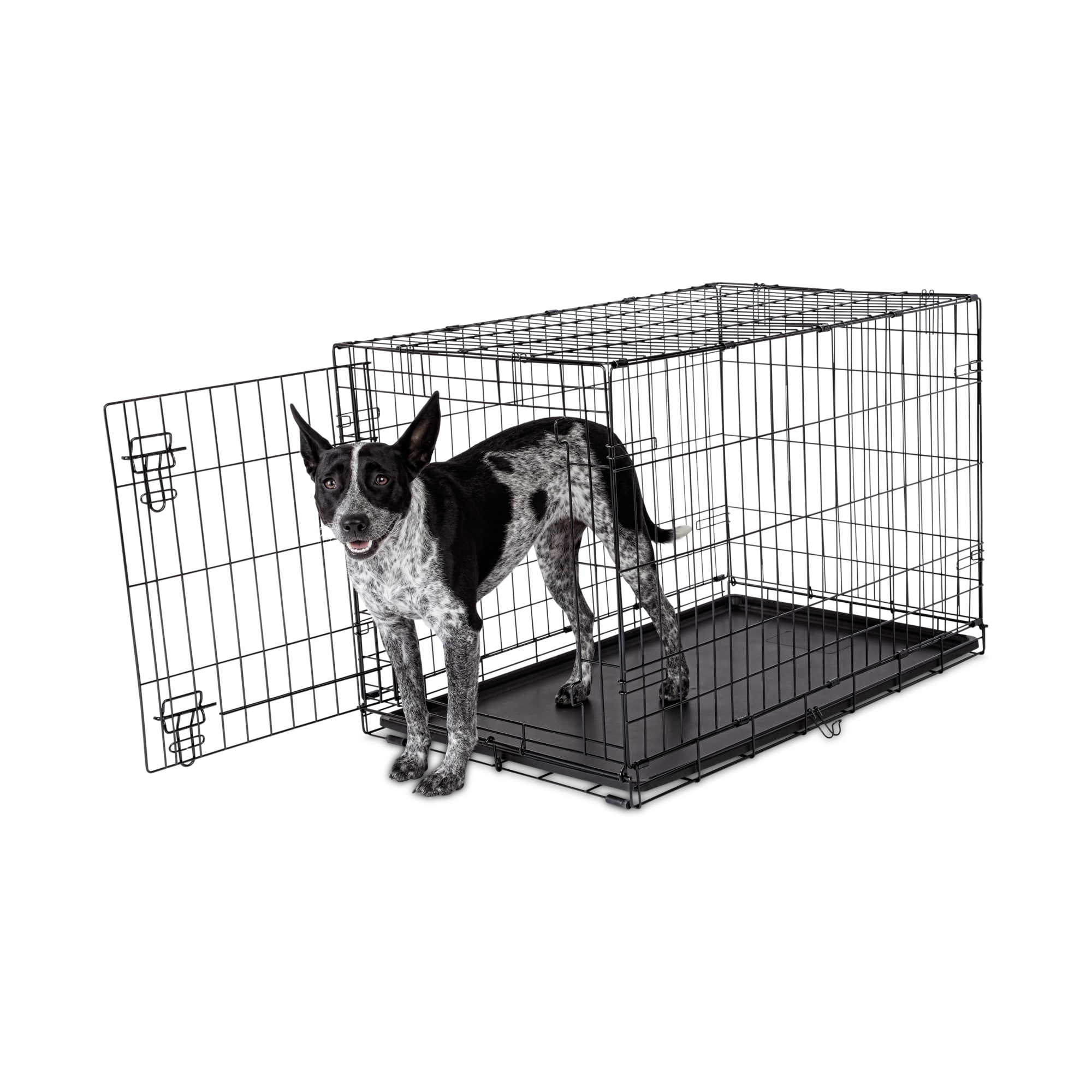 Animaze 1-Door Folding Dog Crate, 36.5 