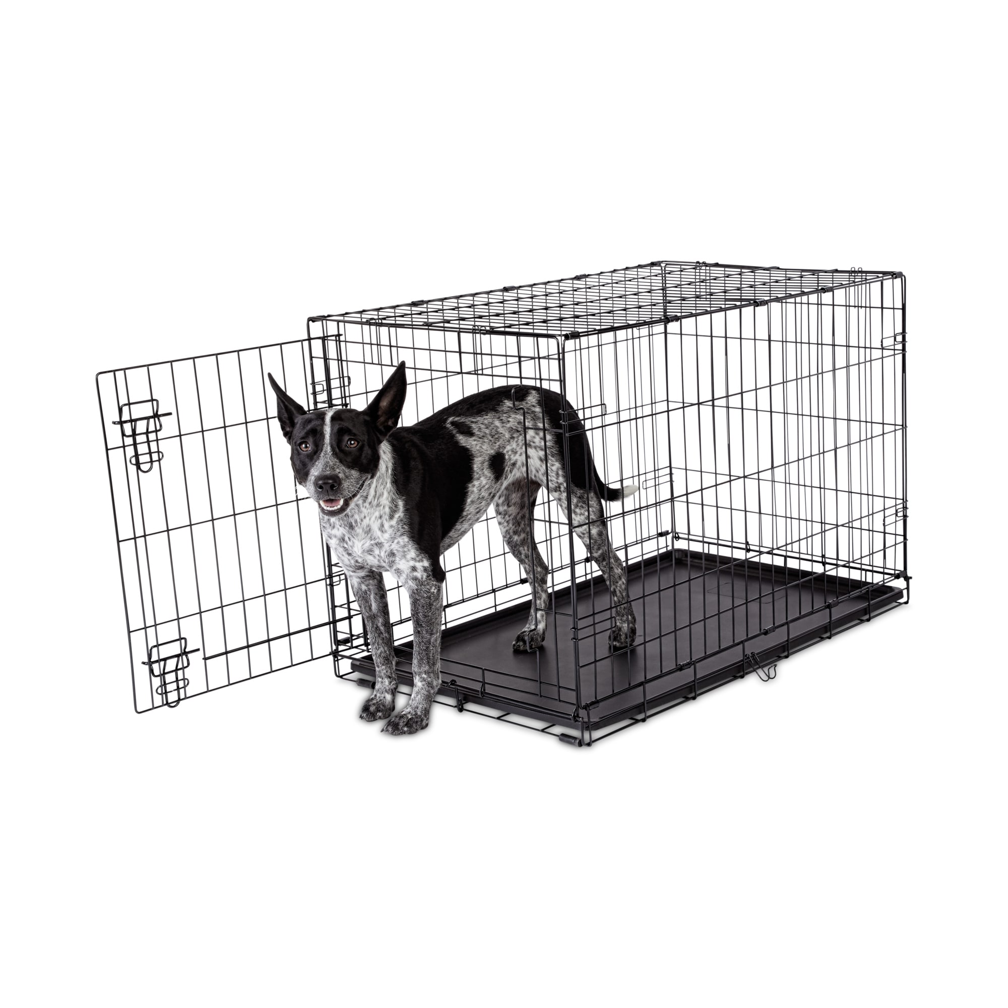 petco dog pen