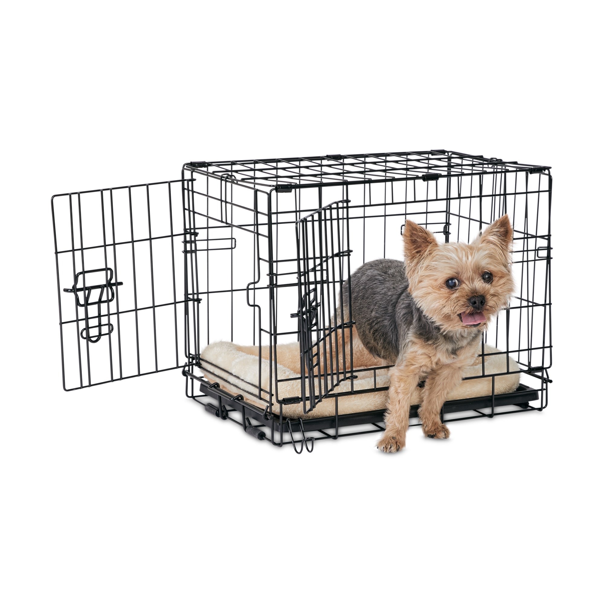 Petco 2024 animaze crate