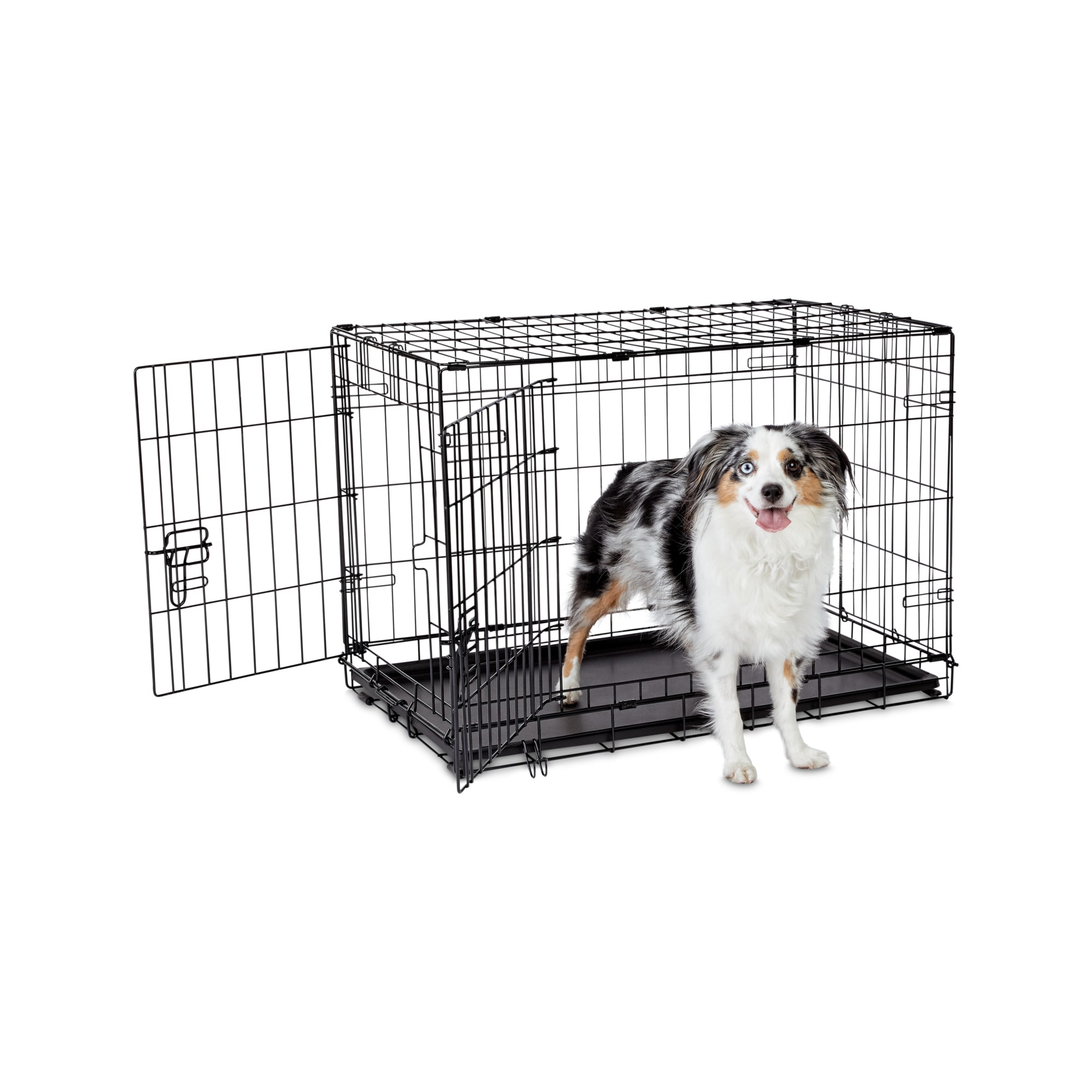 Animaze 2 Door Folding Dog Crate 30 5 L X 19 2 W X 21 5 H Petco