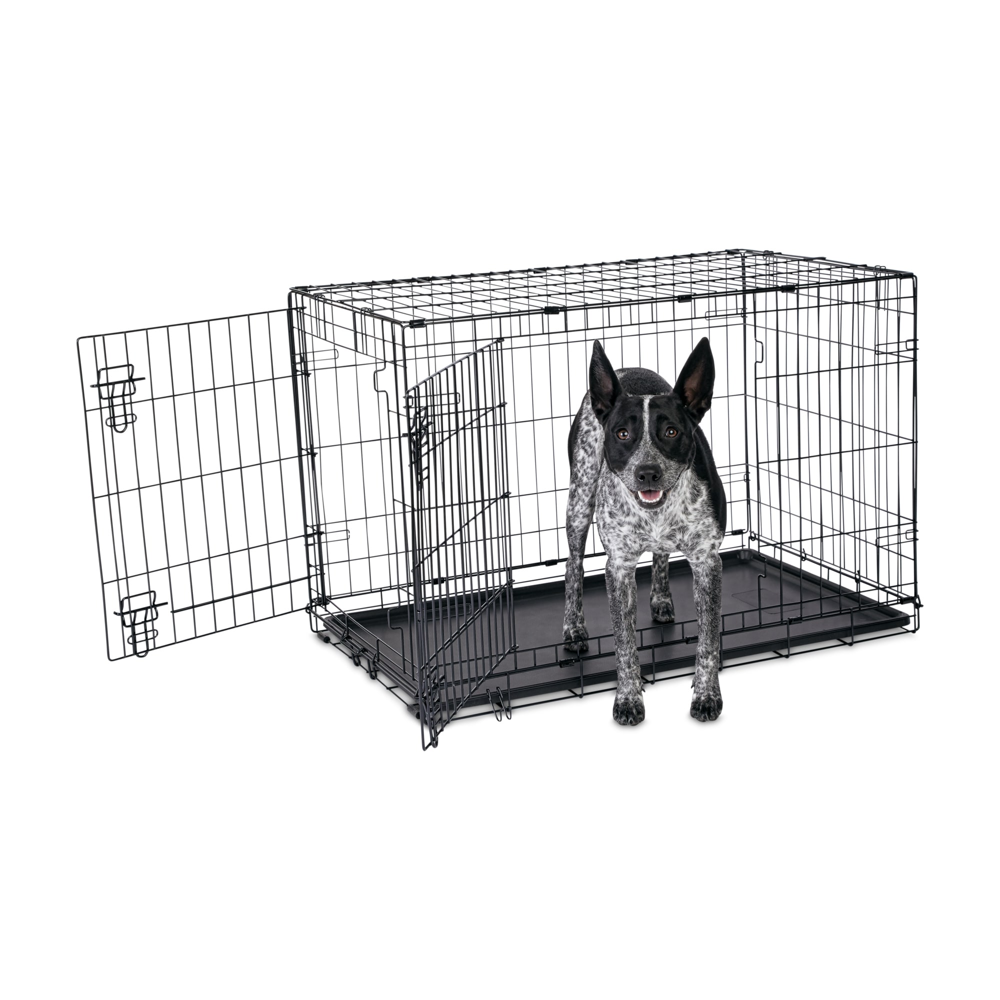 Small dog best sale crate petco