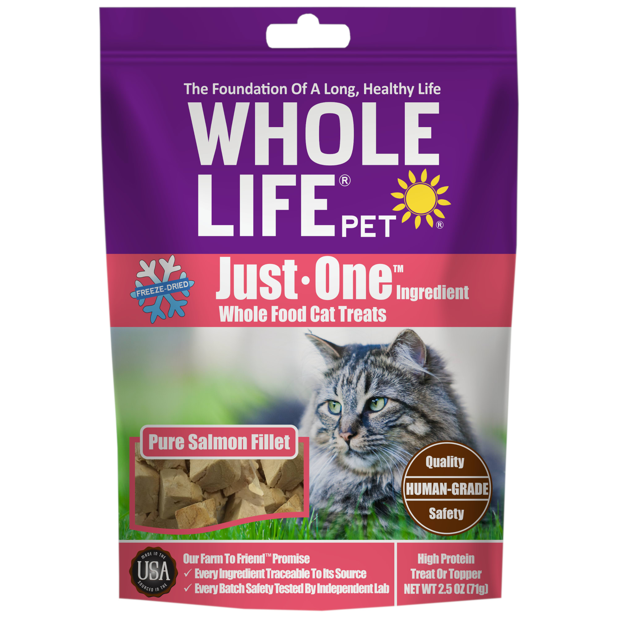Whole Life Pet Just One Pure Salmon FreezeDried Cat Treats, 2.5 oz