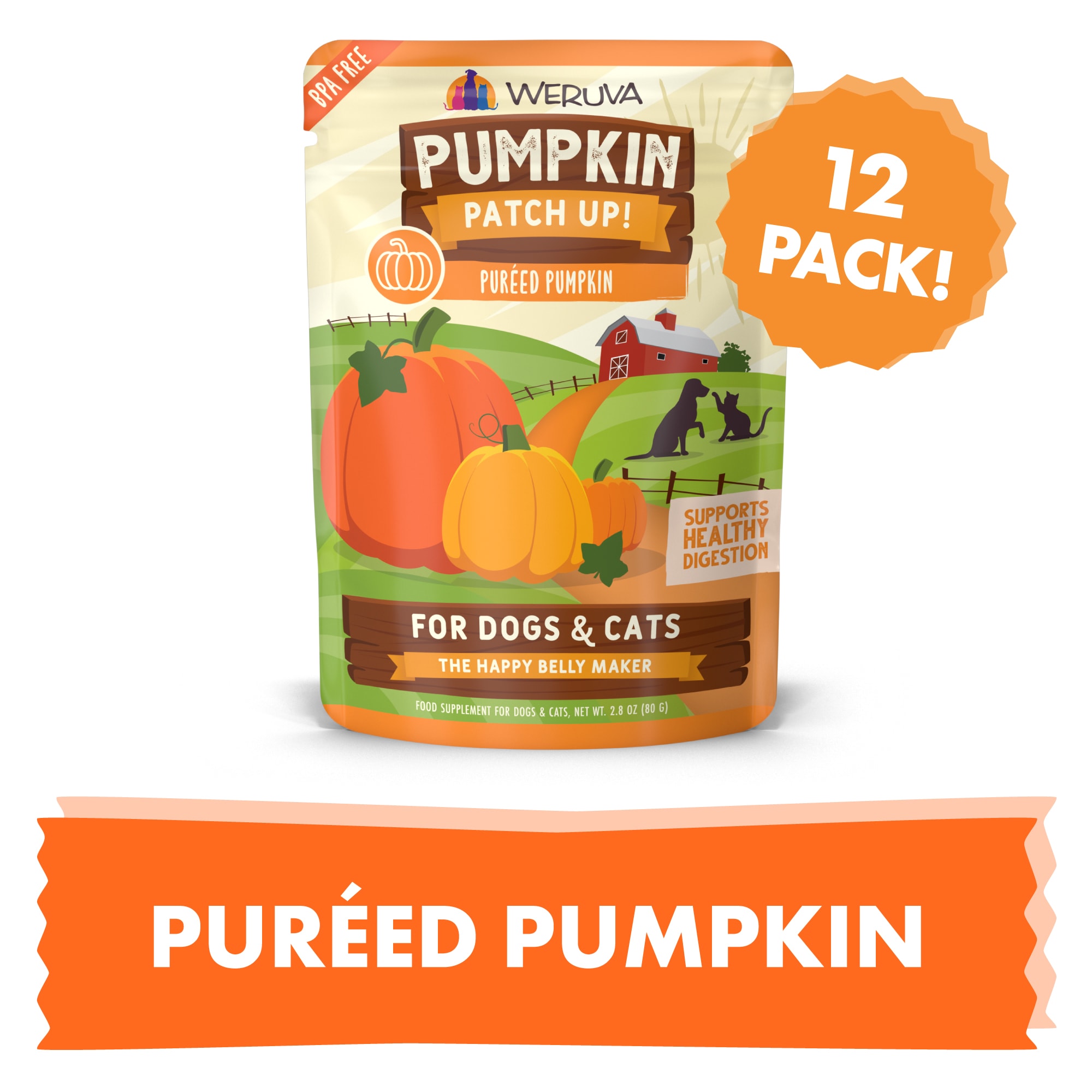 Firm up 2024 pumpkin petco