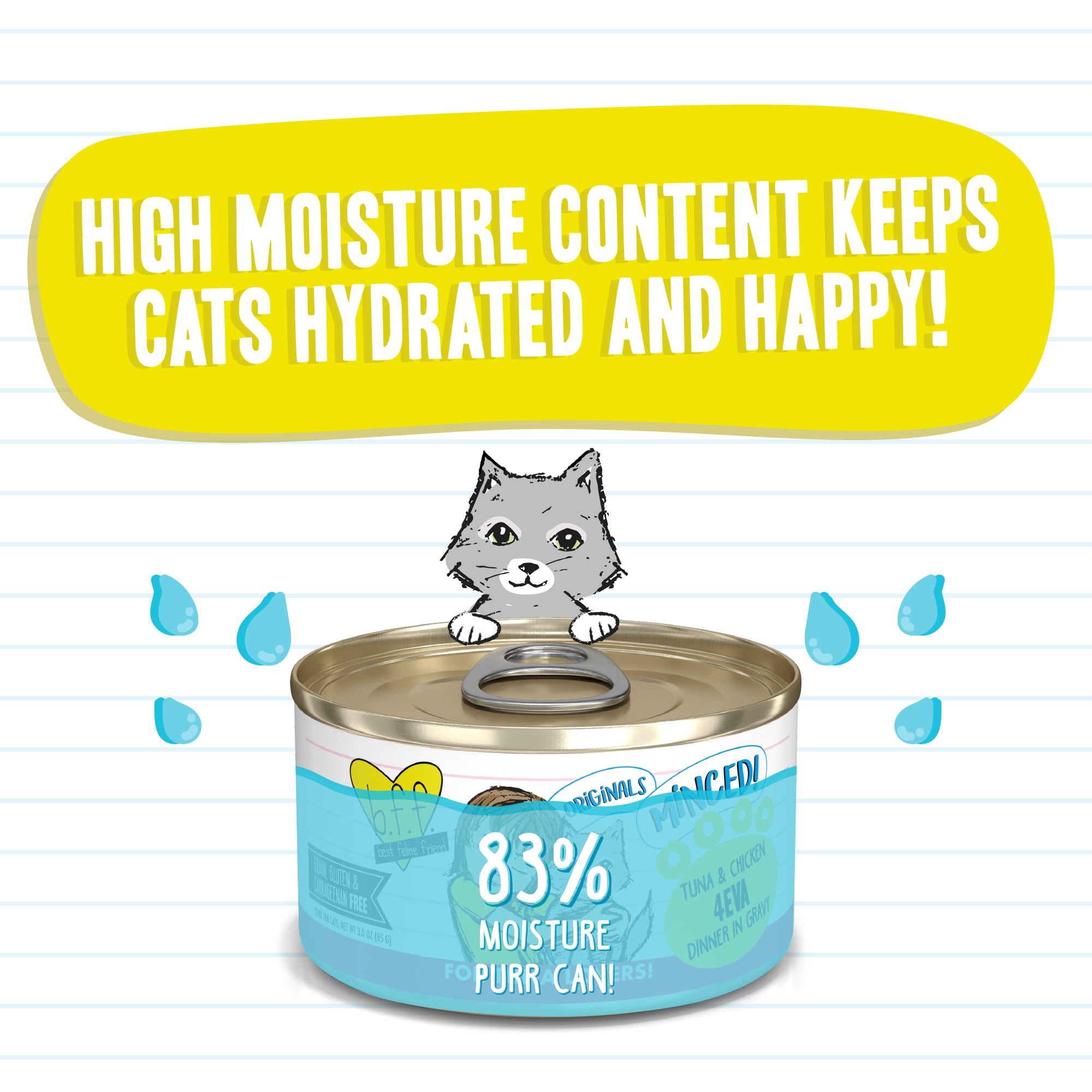 Cat Food With High Moisture Content bursabariatric