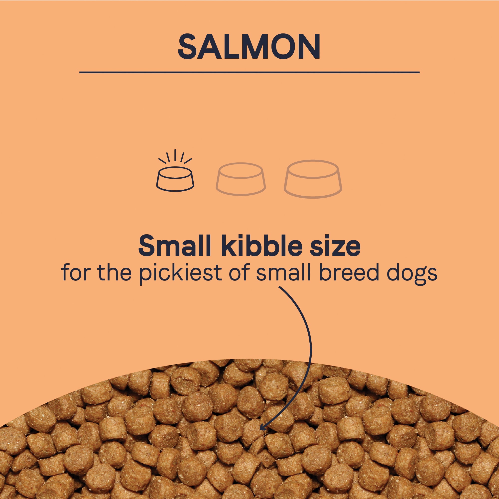 Canidae small shop breed salmon