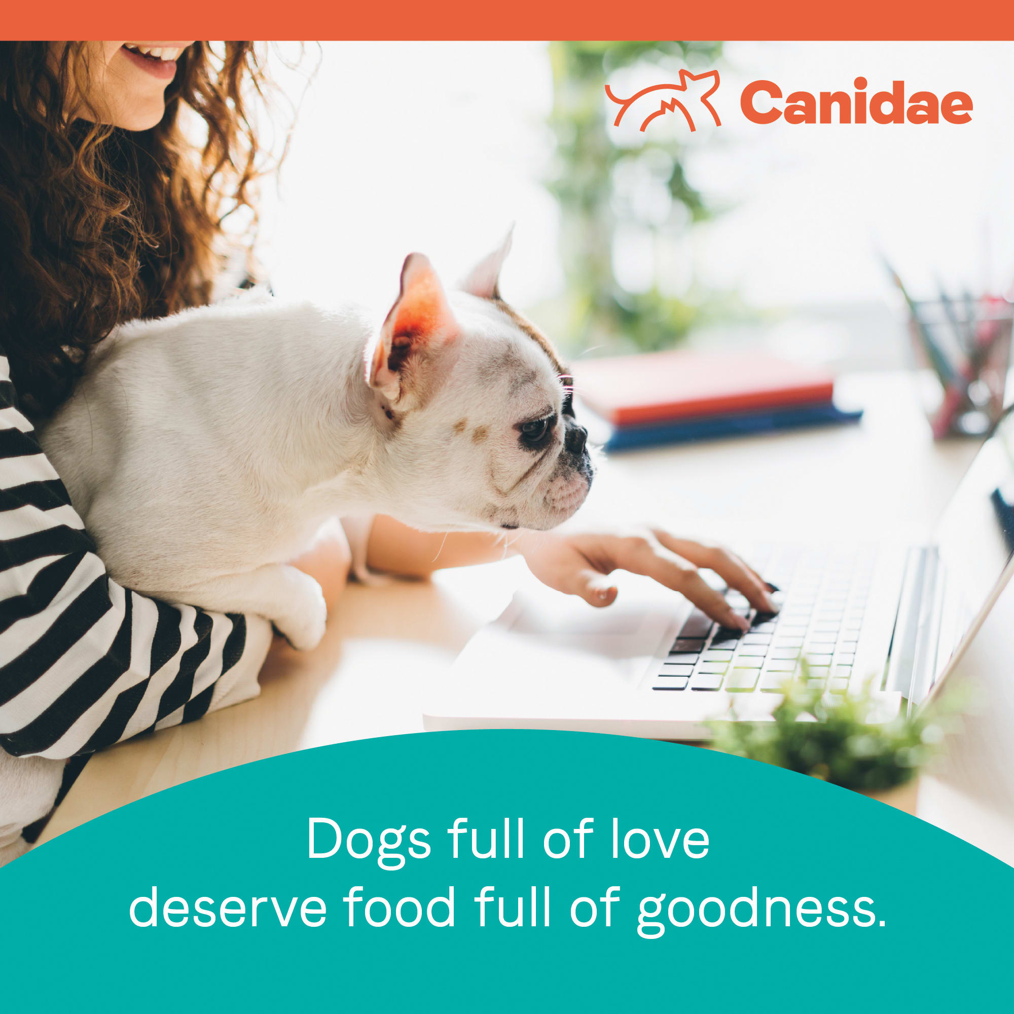 canidae pure petite