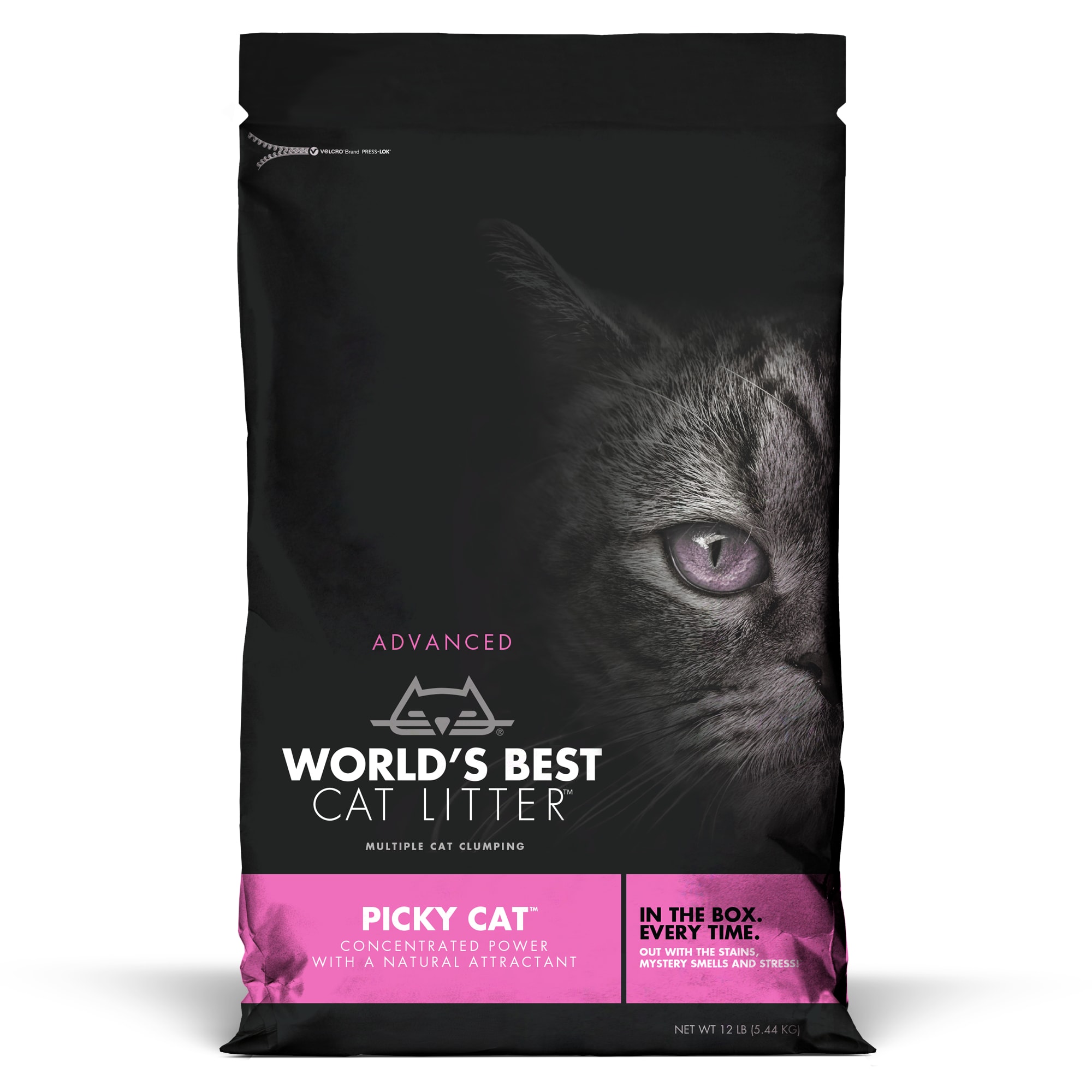 the world's best kitty litter