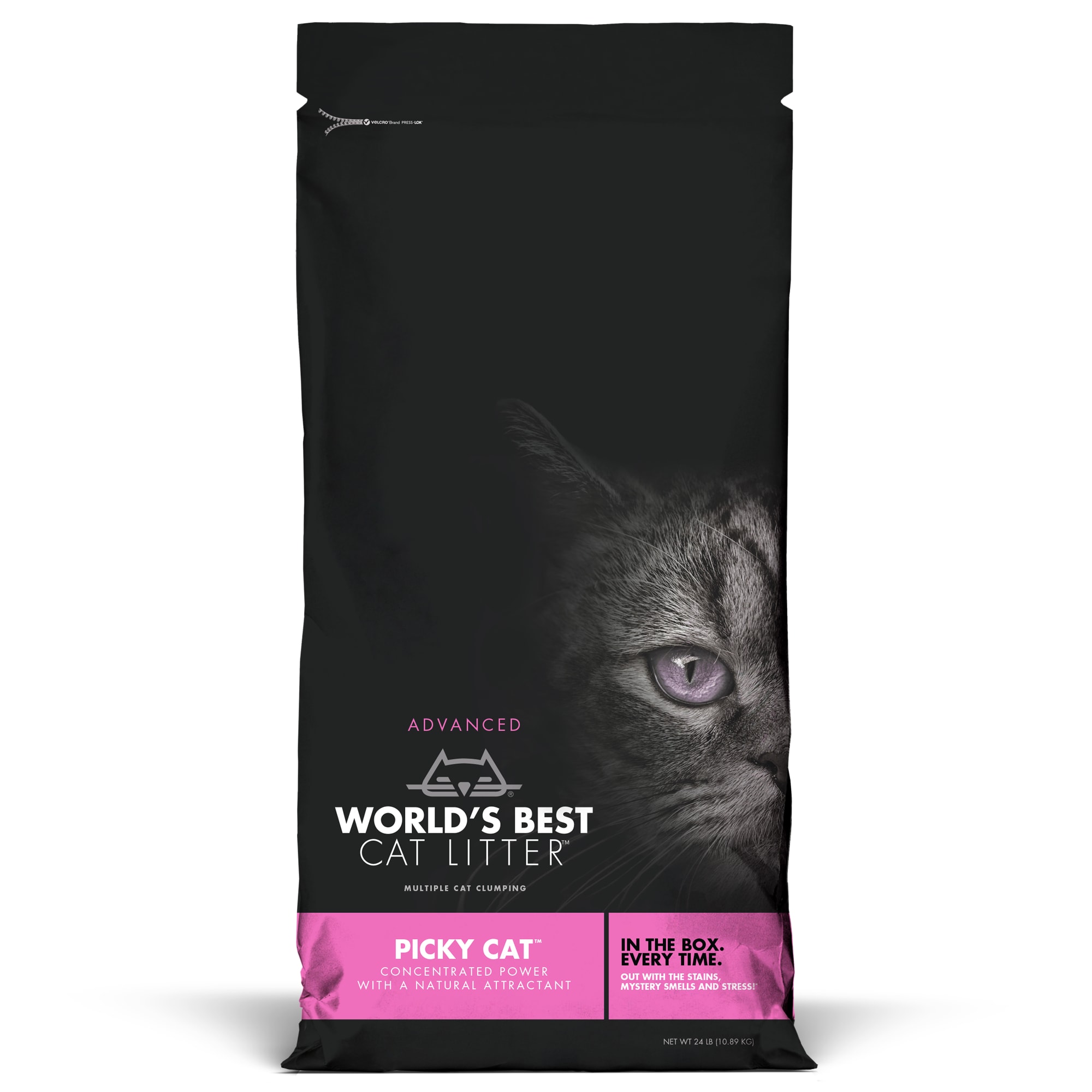 The world's best cat litter outlet reviews