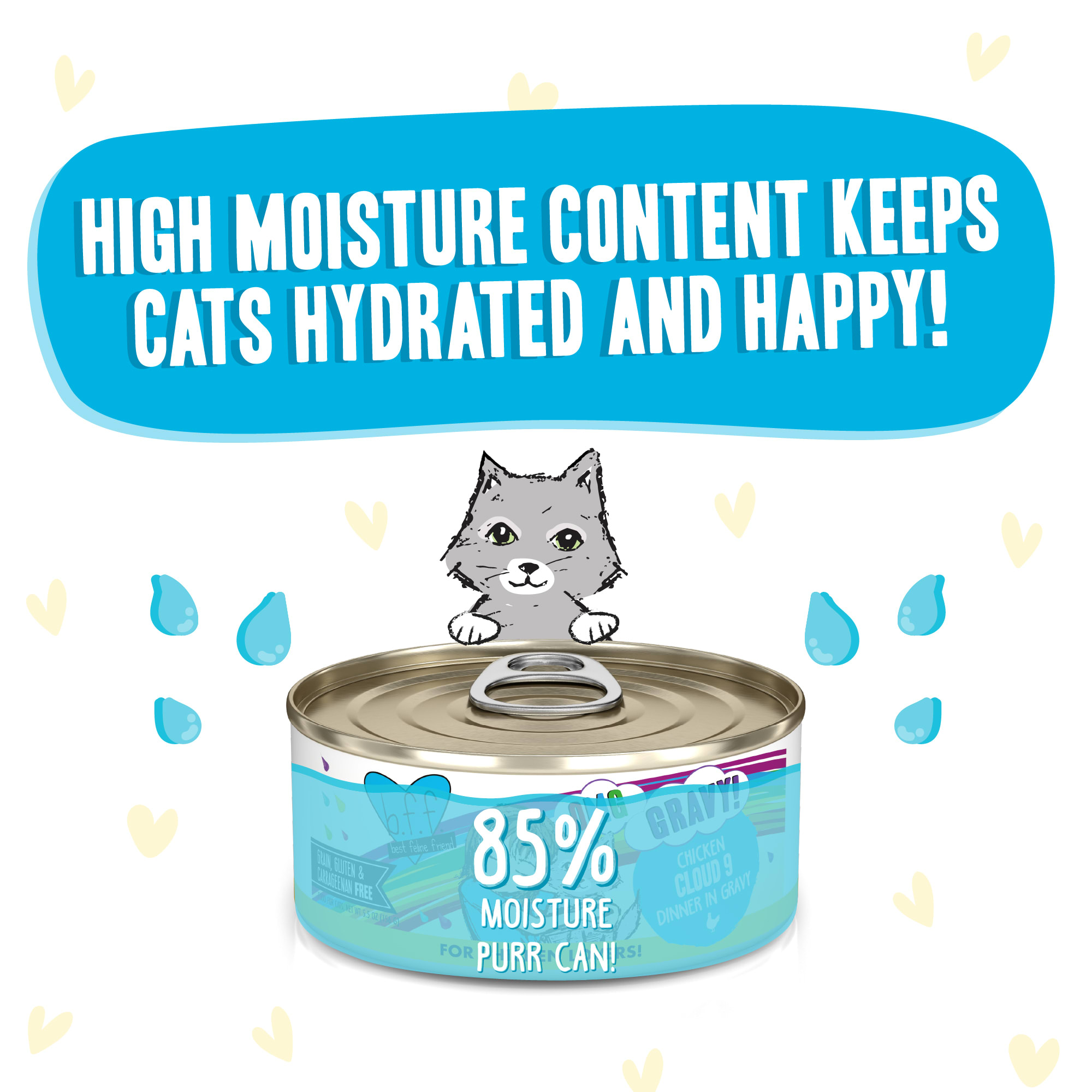 Cloud 9 best sale cat treats