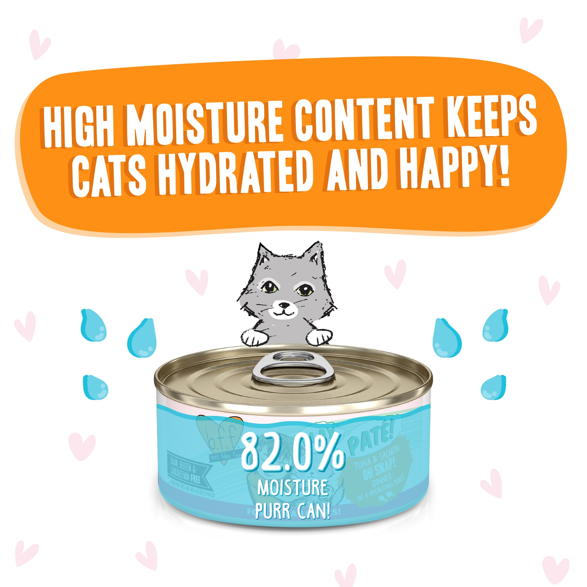 B.F.F. P.L.A.Y. Tuna Salmon Hydrating Pate Cat Food 2.8oz