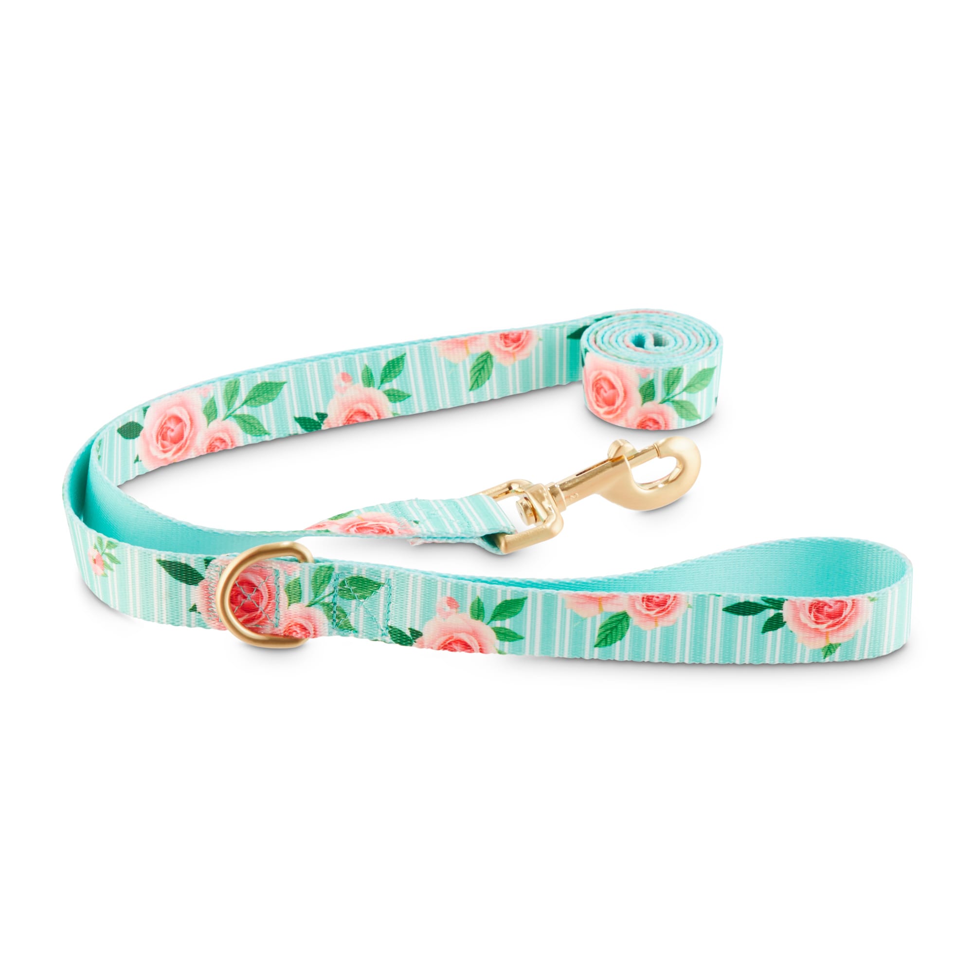 petco collars and leashes