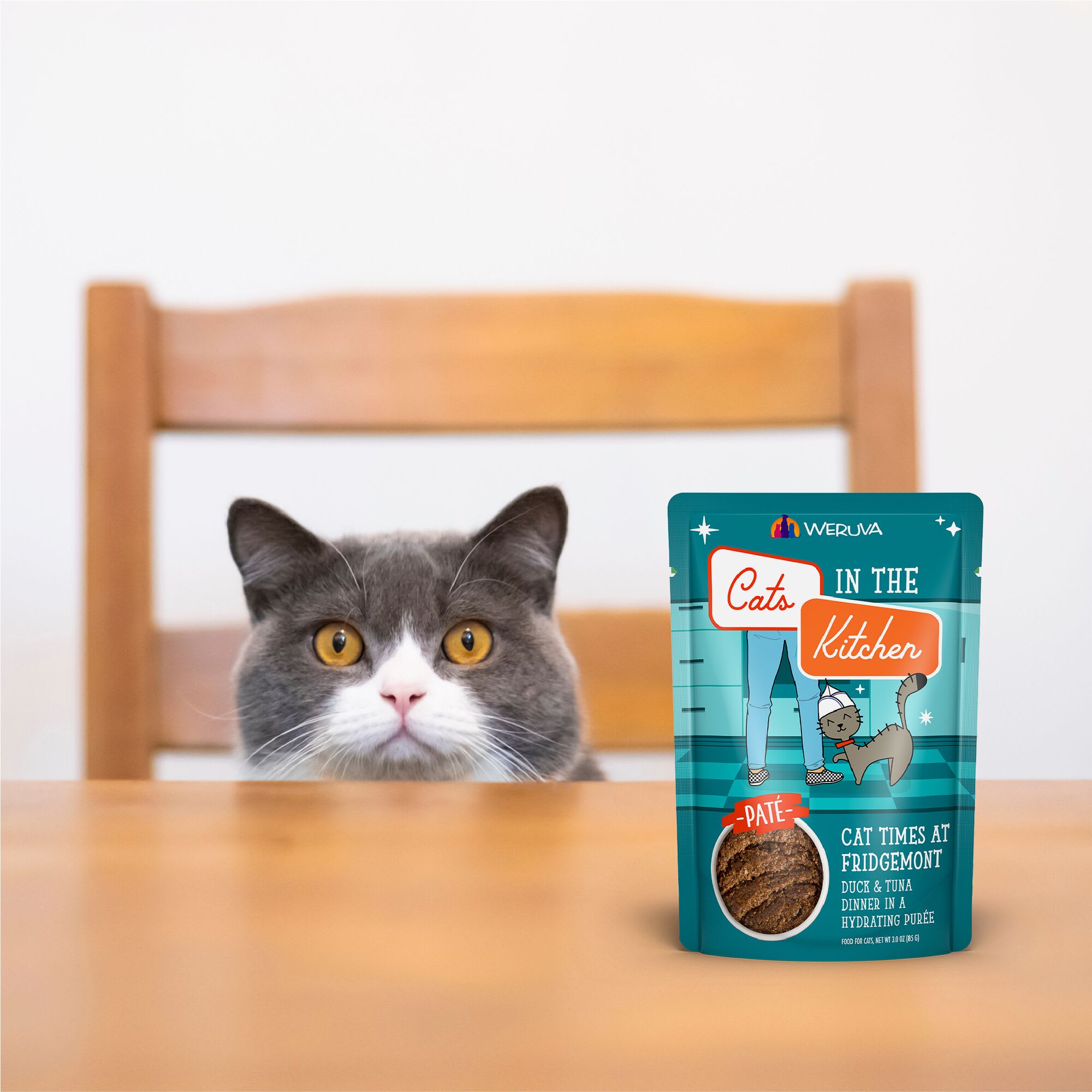 all in one cat litter box All-in-One Cat Litter Box Enclosure – Modern Hidden Furniture for Litter &  Cat Bed EJ-EN010