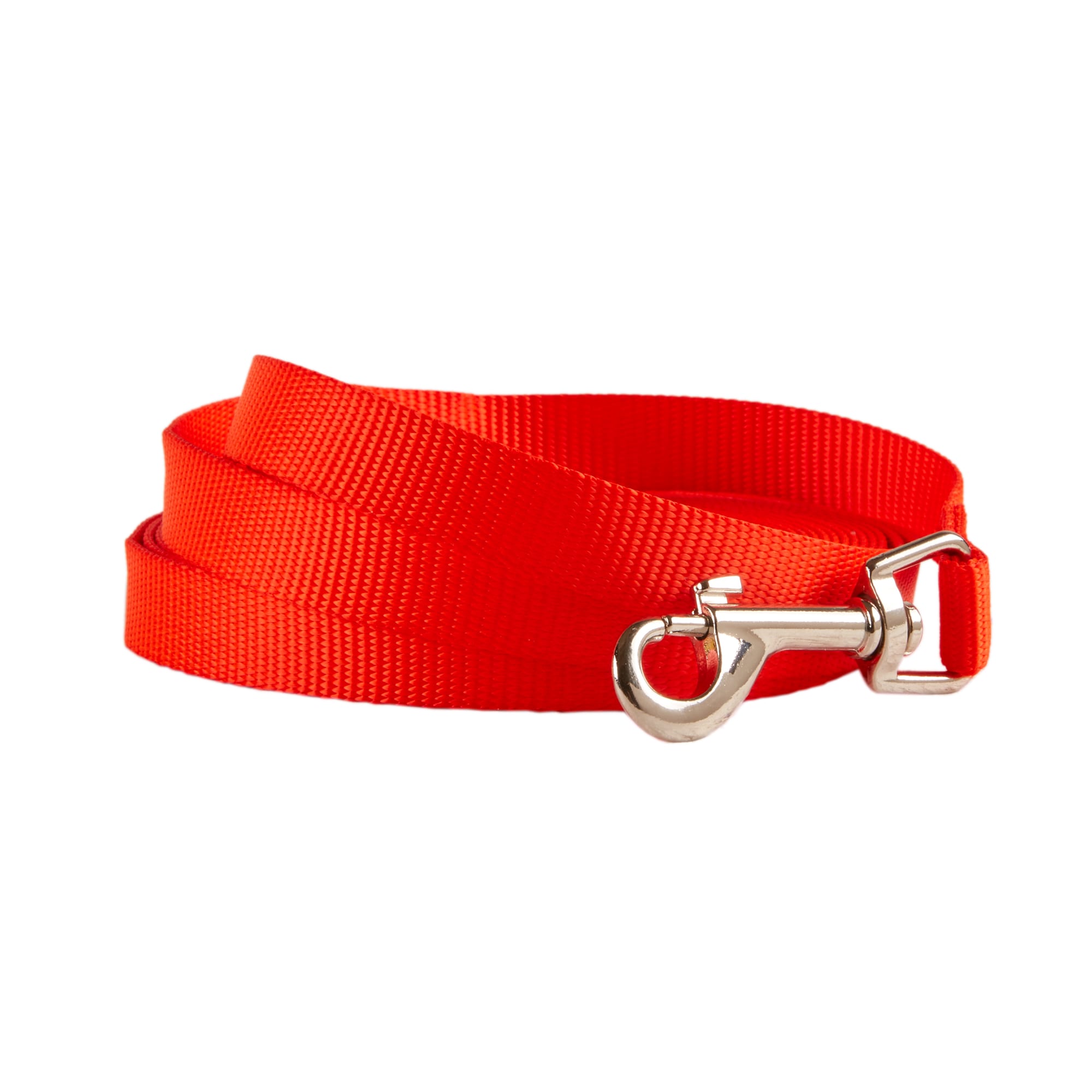 long dog leash petco