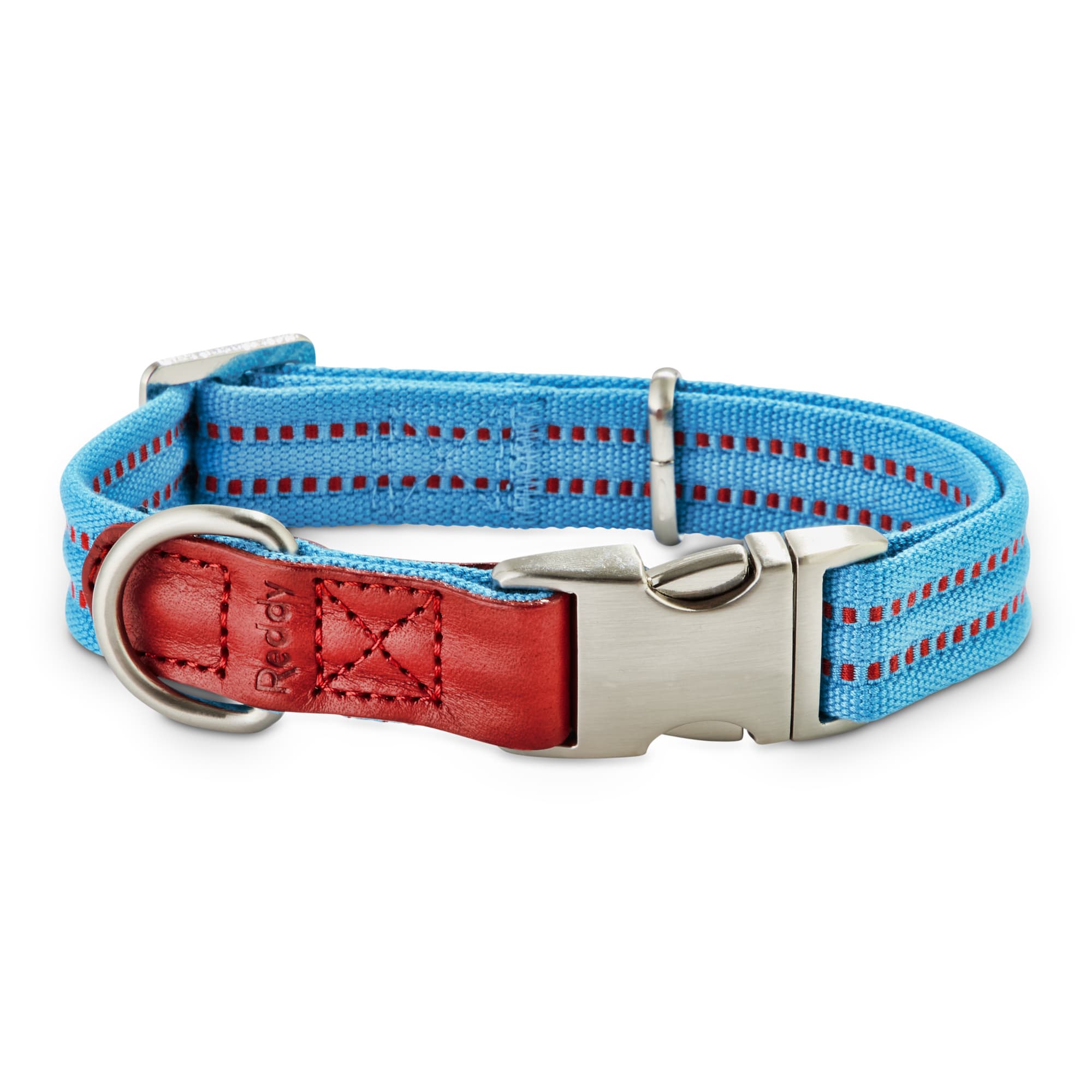 Reddy olive webbed dog hot sale collar