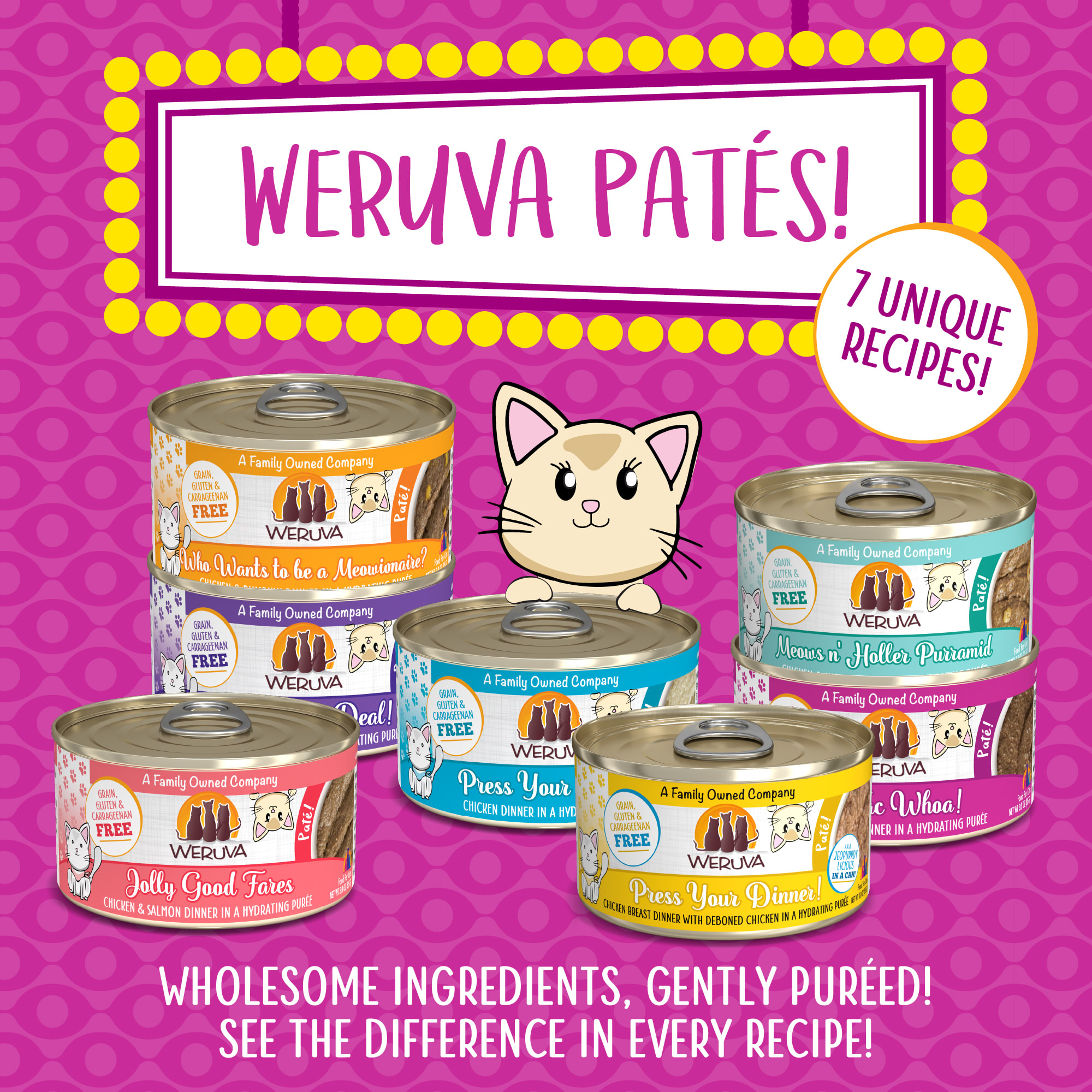 Weruva cat outlet food petco