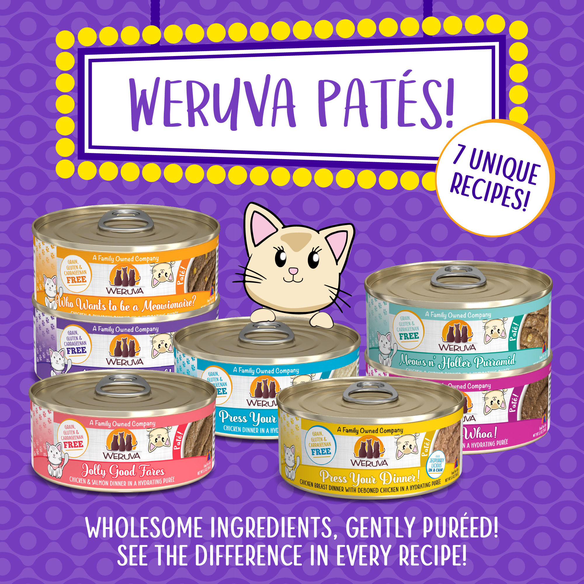 Weruva cat food shops petco