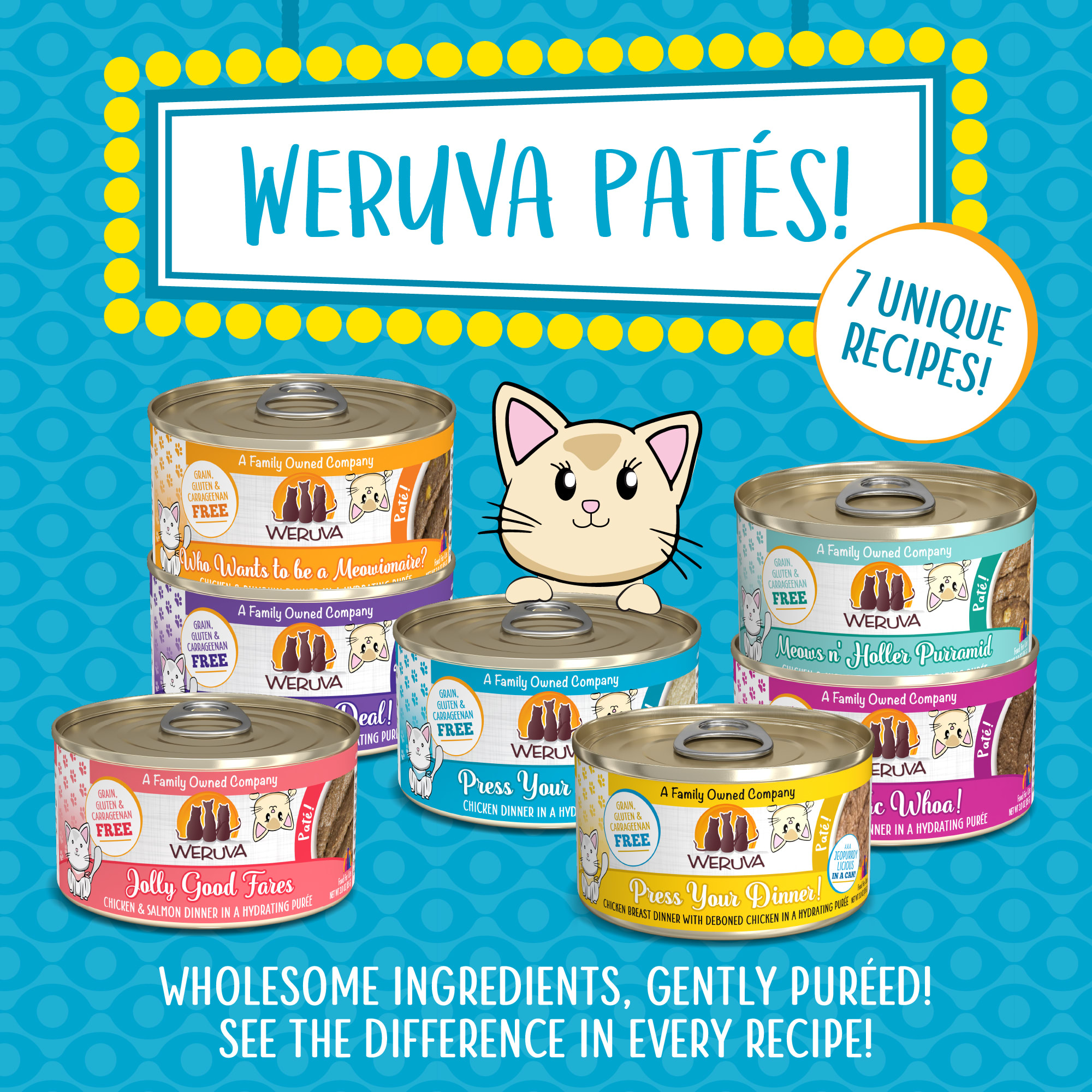 Weruva Pate Press Your Lunch Chicken Dinner in a Hydrating Puree