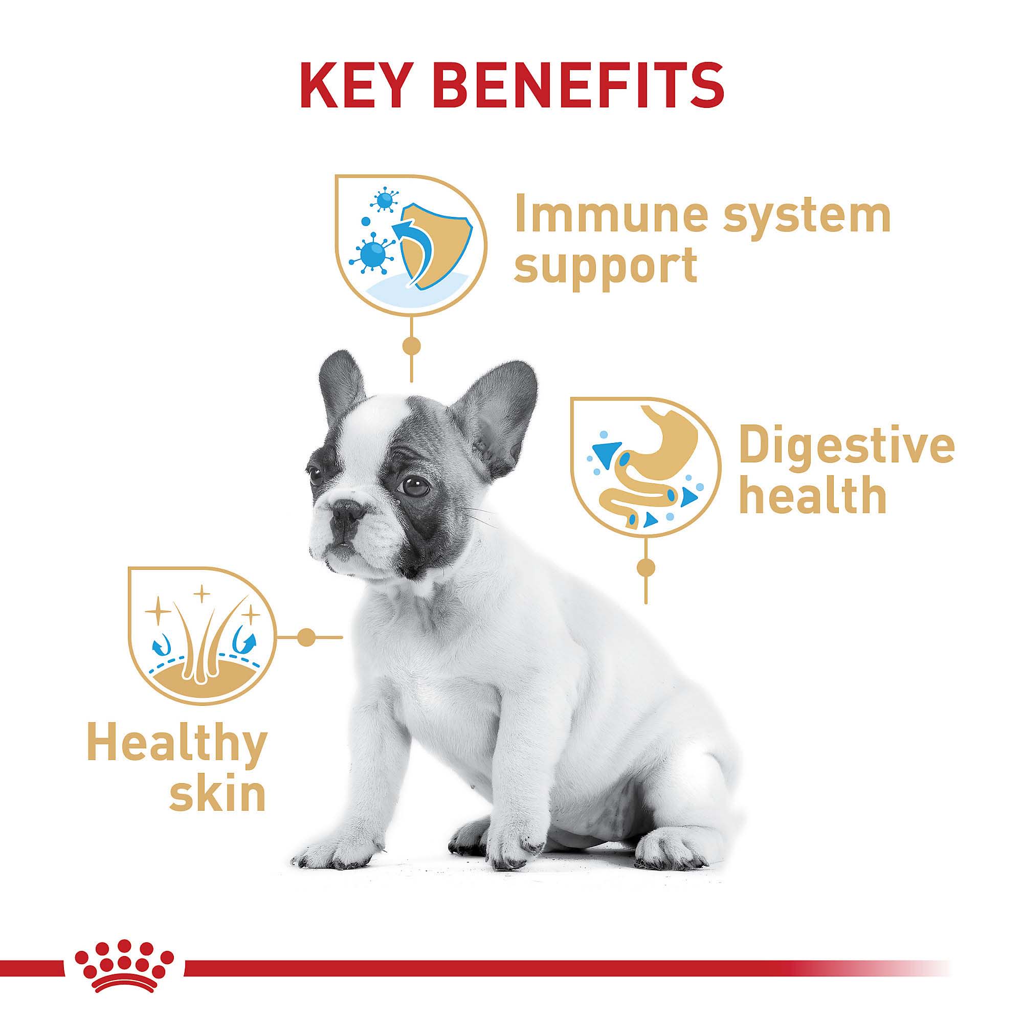 French bulldog puppy outlet food royal canin