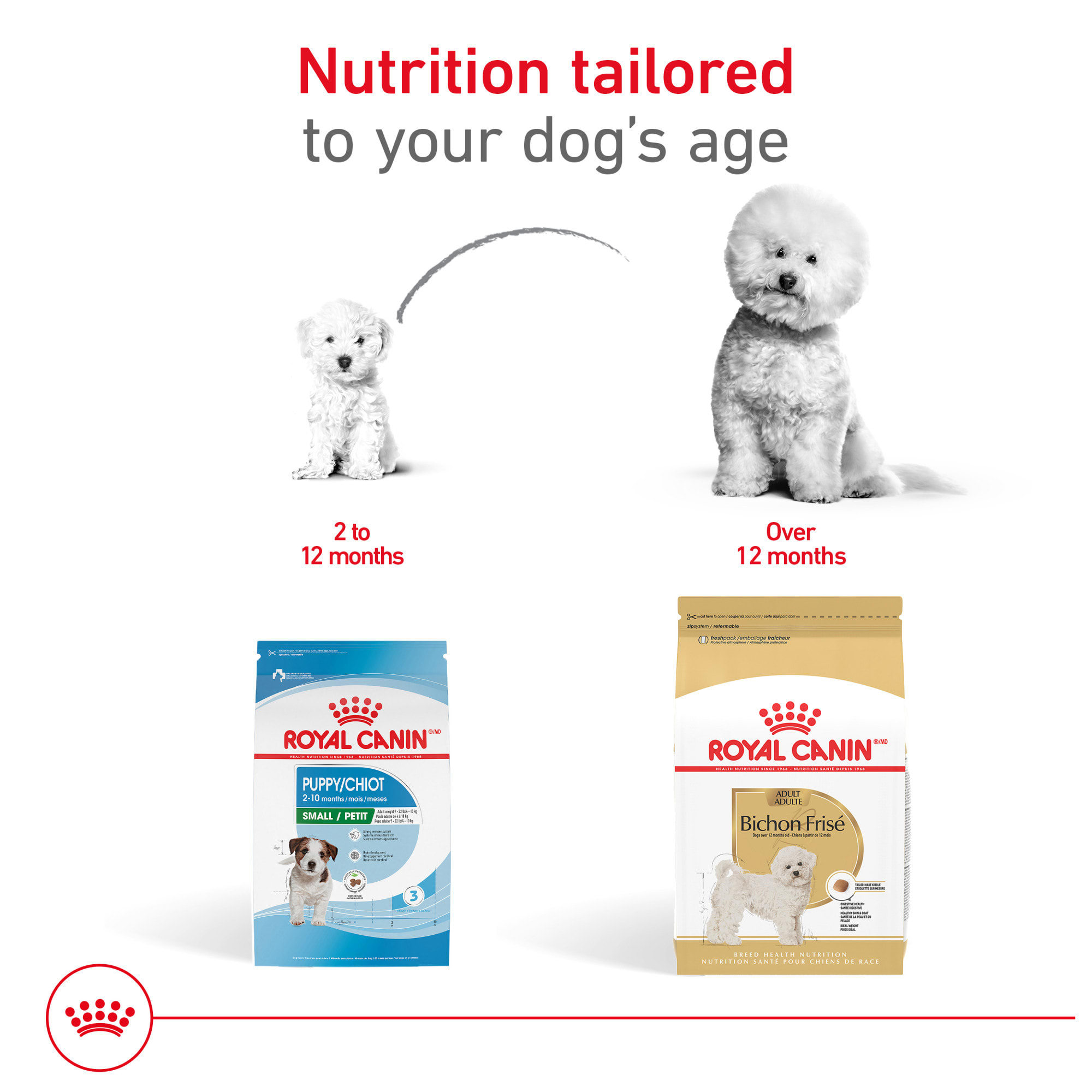 Royal Canin Breed Health Nutrition Bichon Frise Adult Dry Dog Food
