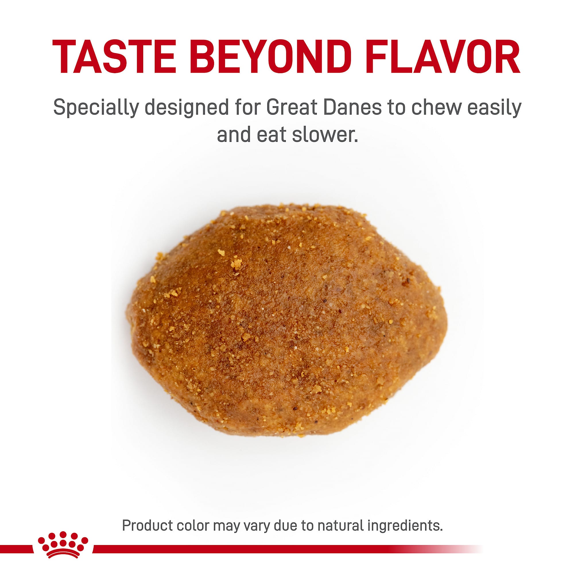 Great Dane What Is The Best Healthiest Dog Food Royal Canin Best