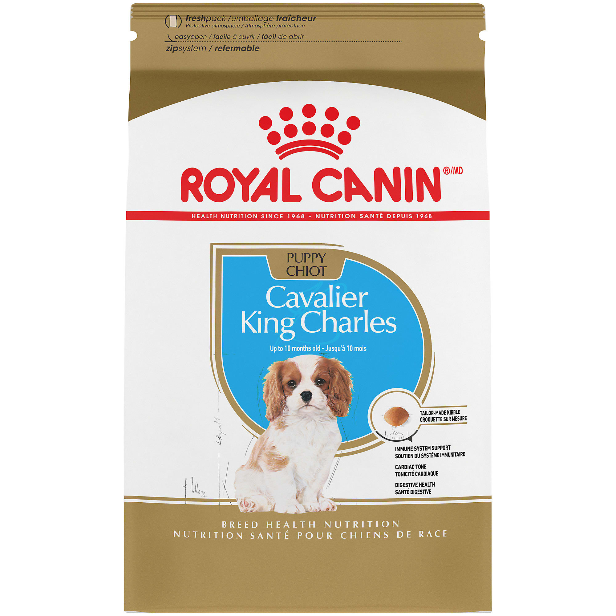 What is the Best Dog Food for Cavalier King Charles?