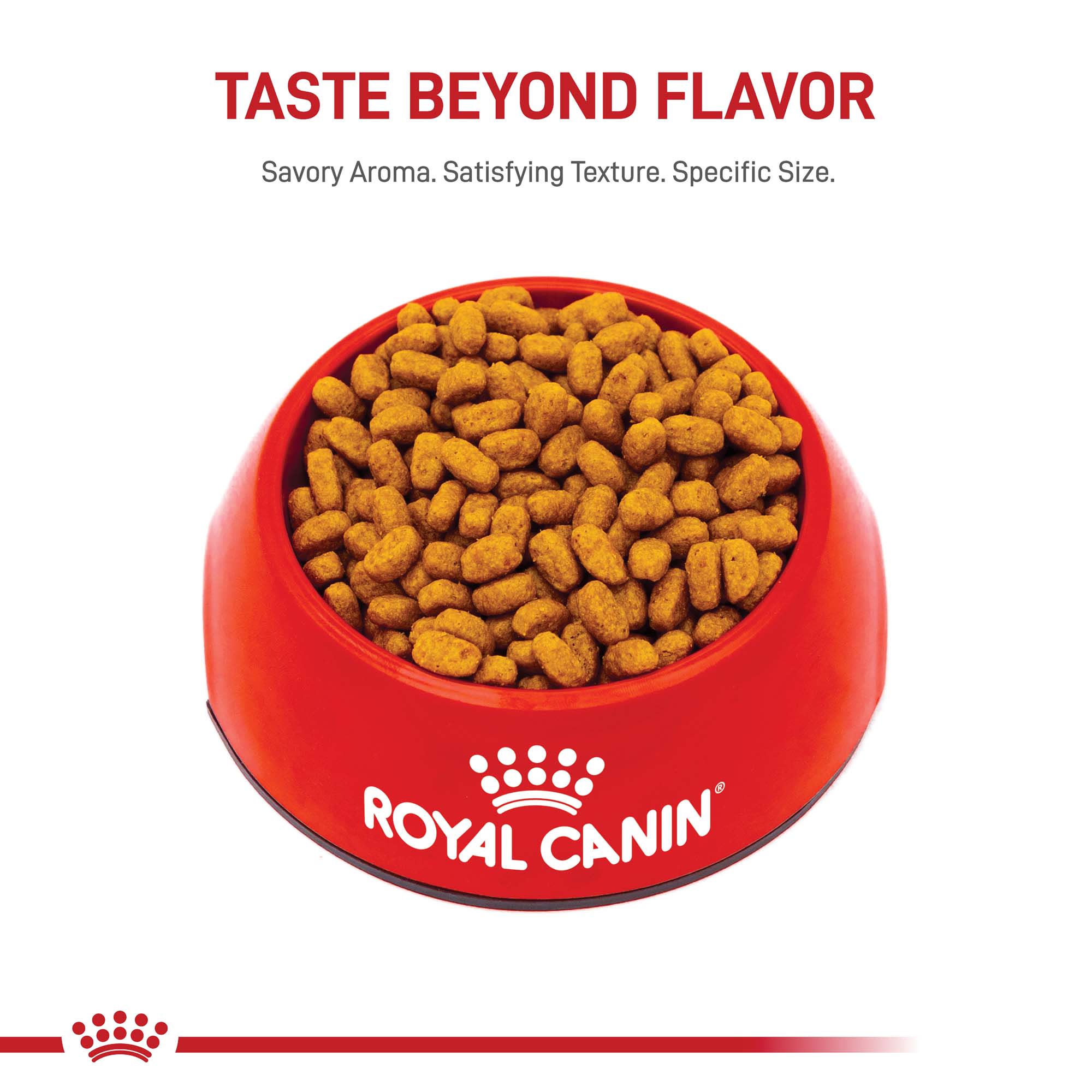 Royal Canin 2.5lb Breed Health Nutrition Maltese Adult Dry Dog Food