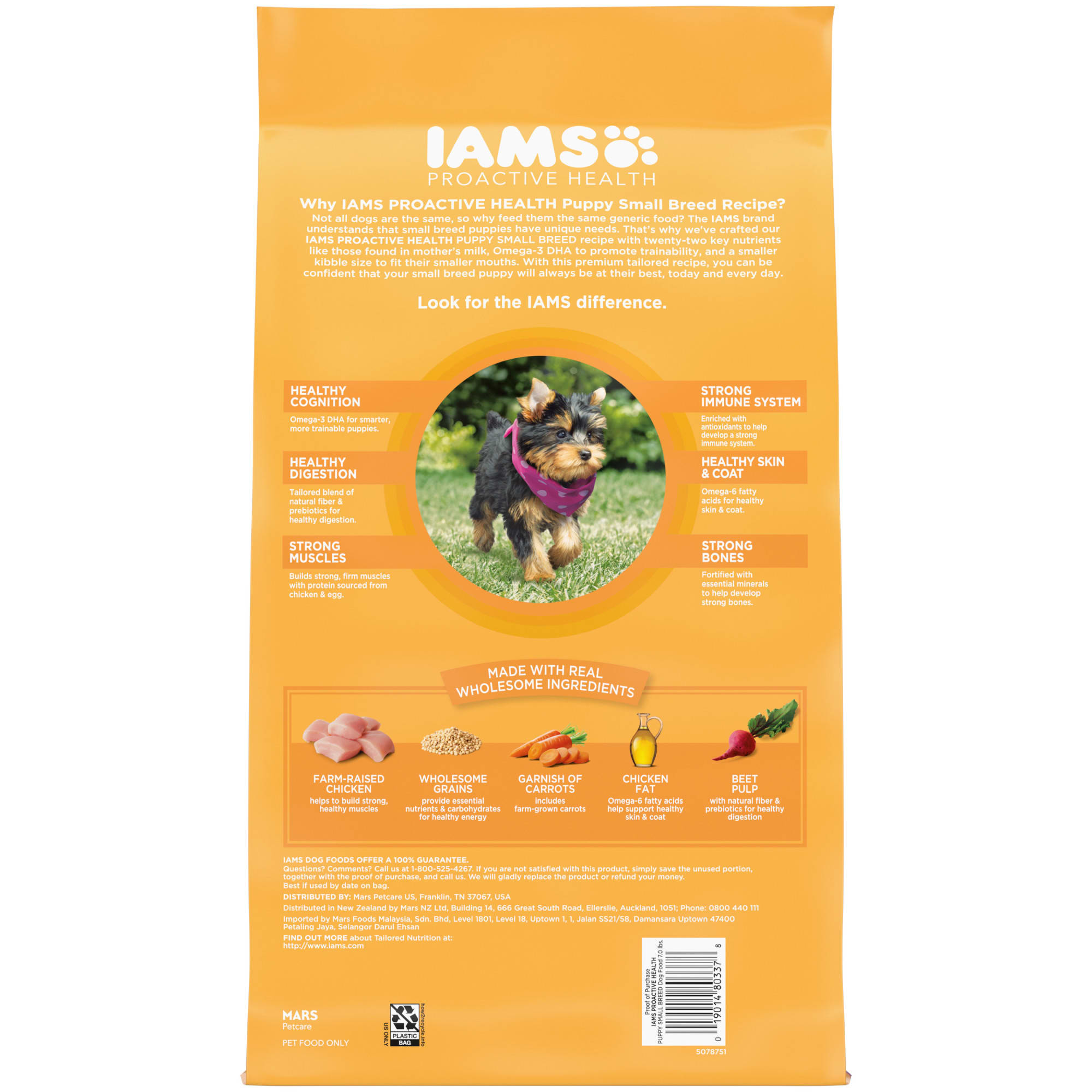 Iams puppy outlet food feeding chart