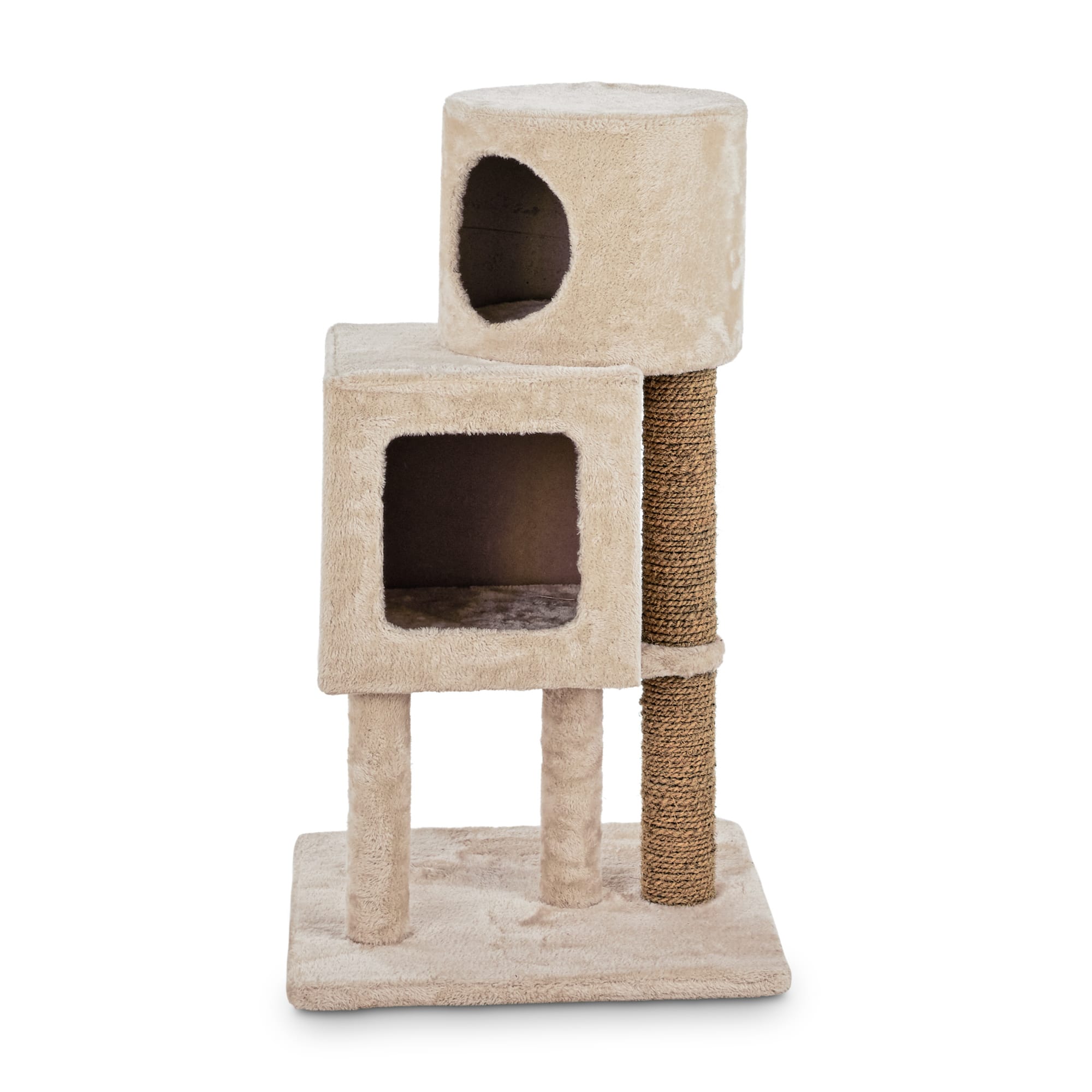 Cat 2025 scratching condo