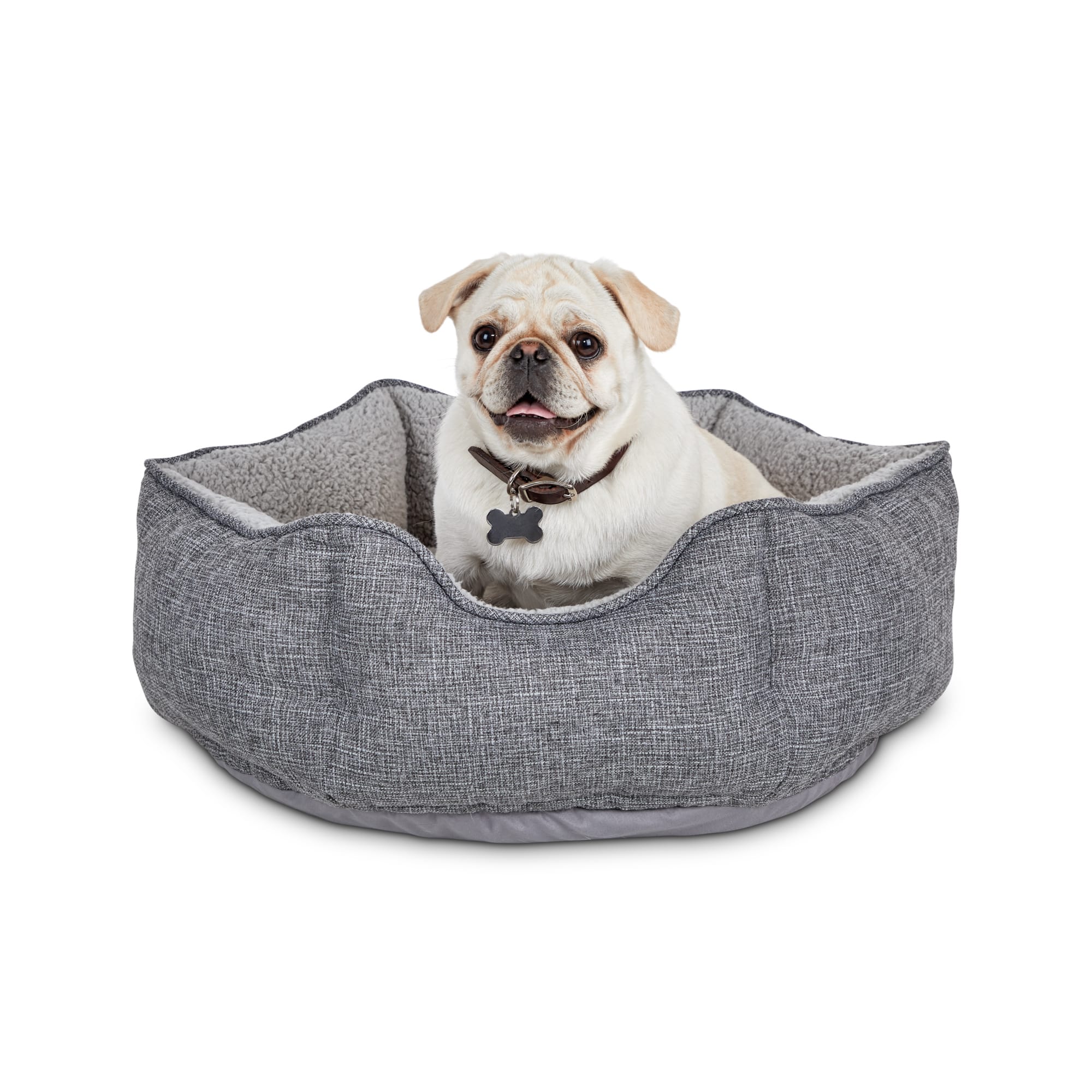 petco dog bed