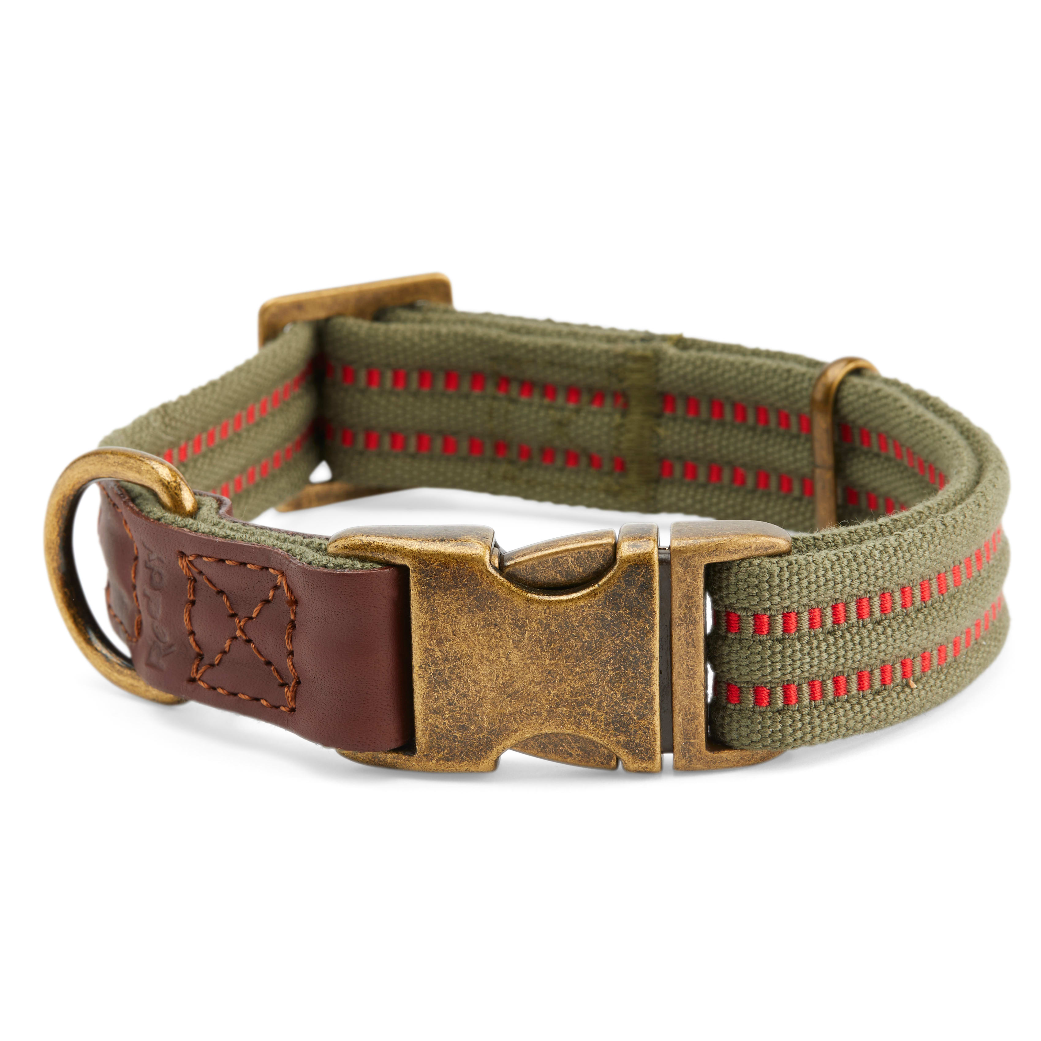 Reddy Olive Webbed Dog Collar, Small 