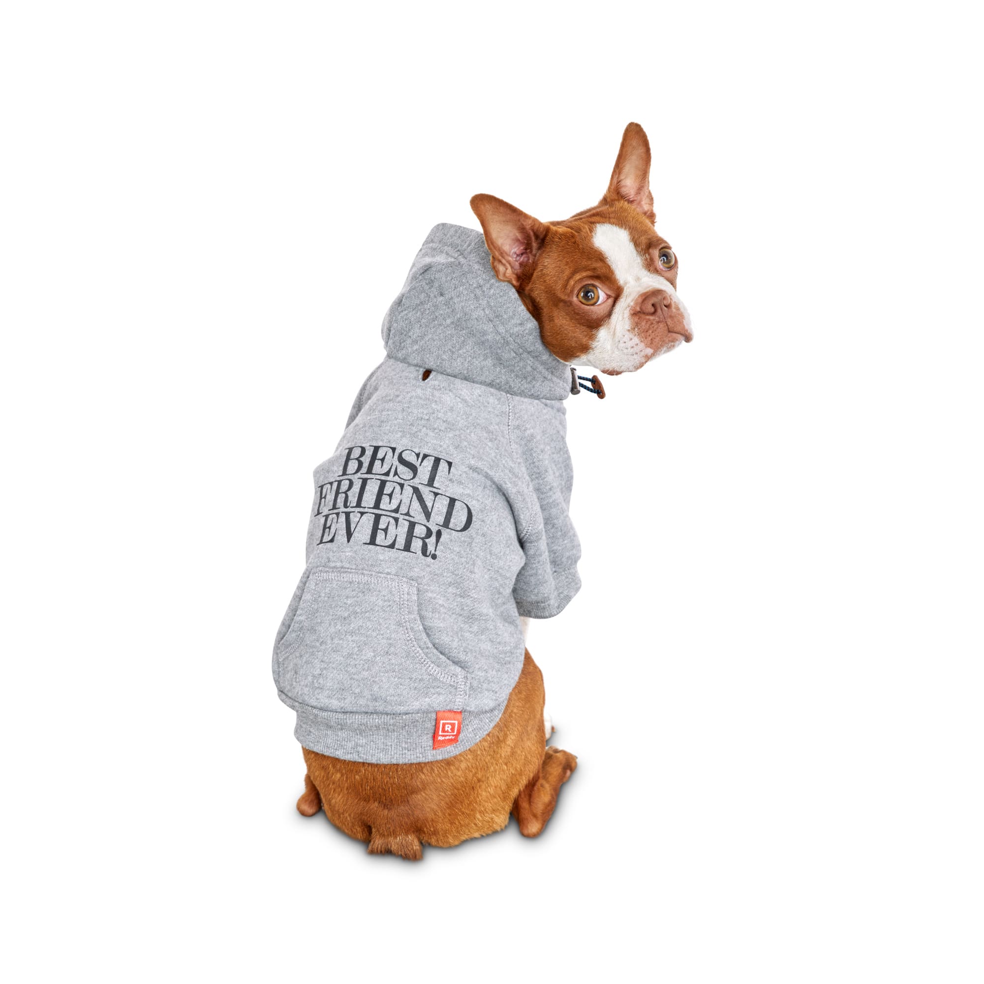 teddy fresh hoodie dog