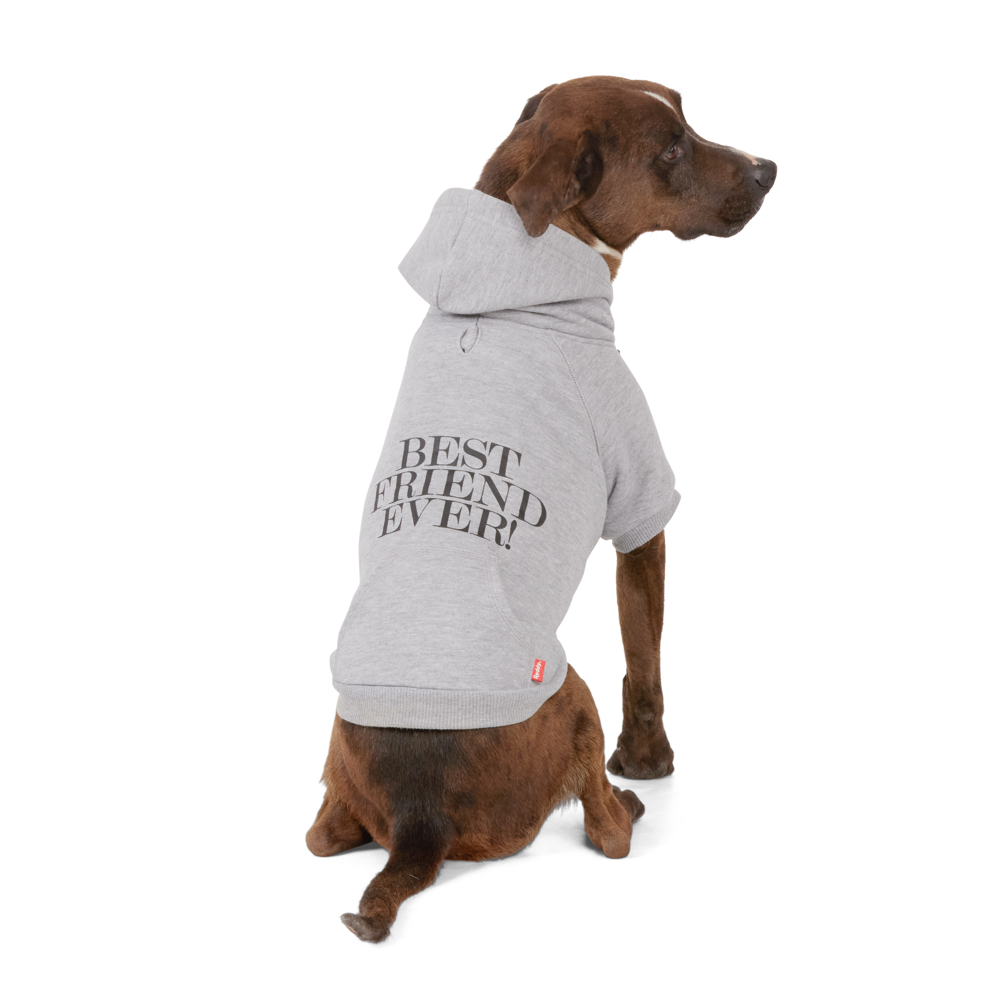 Denver Broncos Handmade Pet Hoodies – 3 Red Rovers