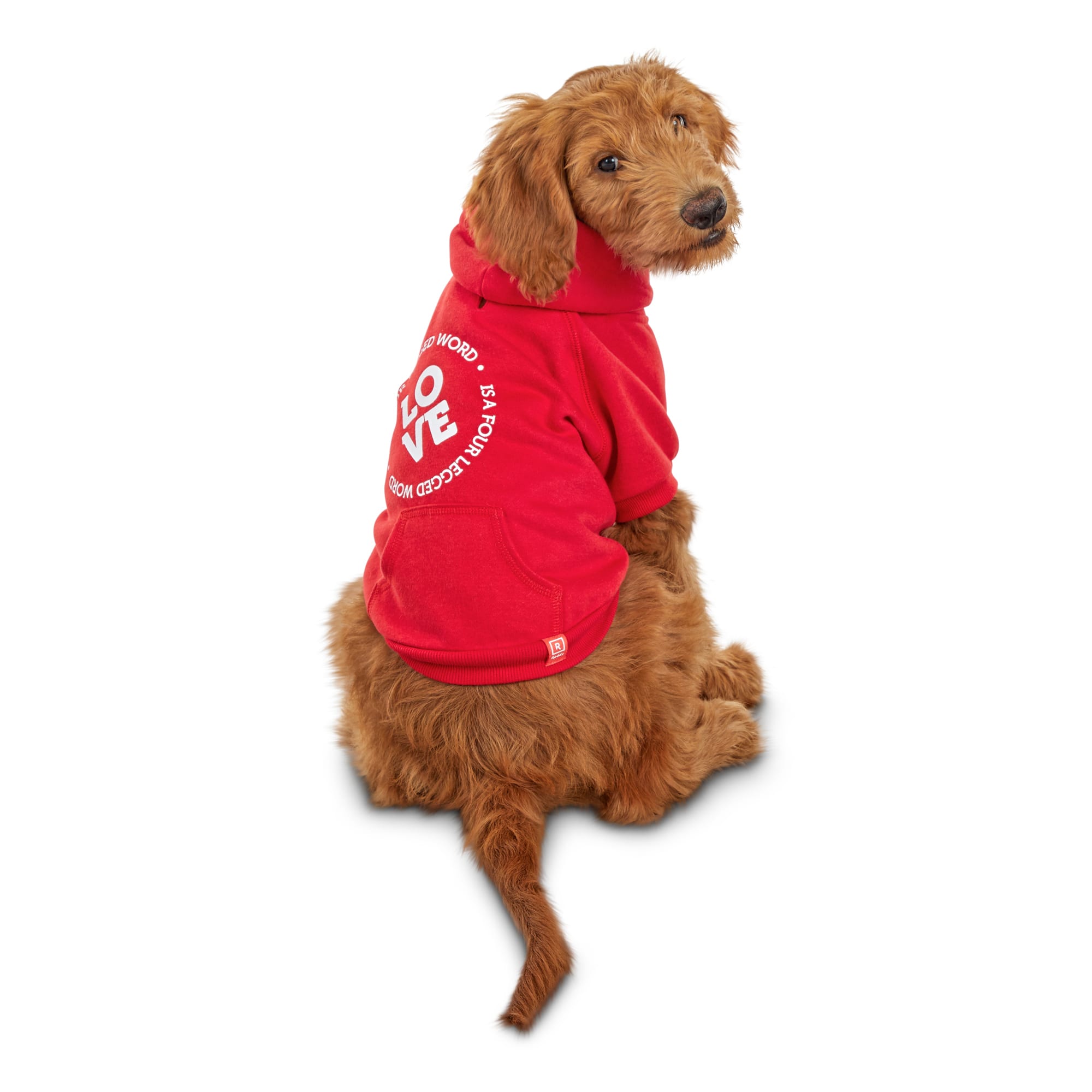 dog hoodie