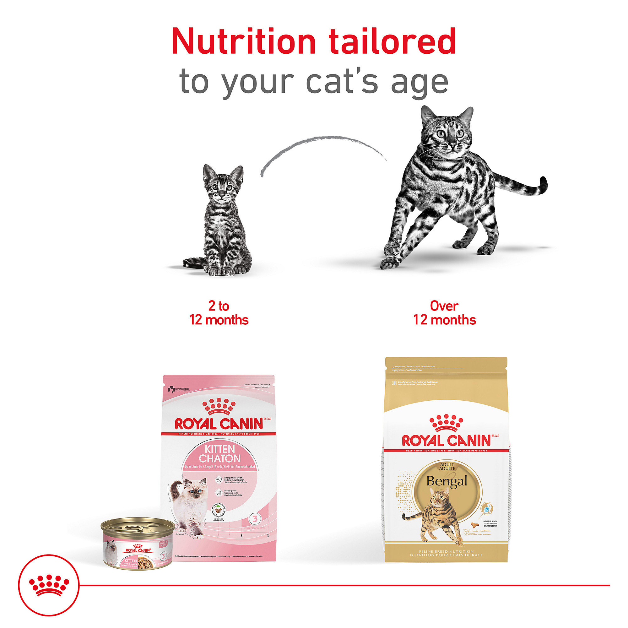 CANIN Bengal 2kg×2ほか Bengal Cat Food Royal Canin Bengal 2kg