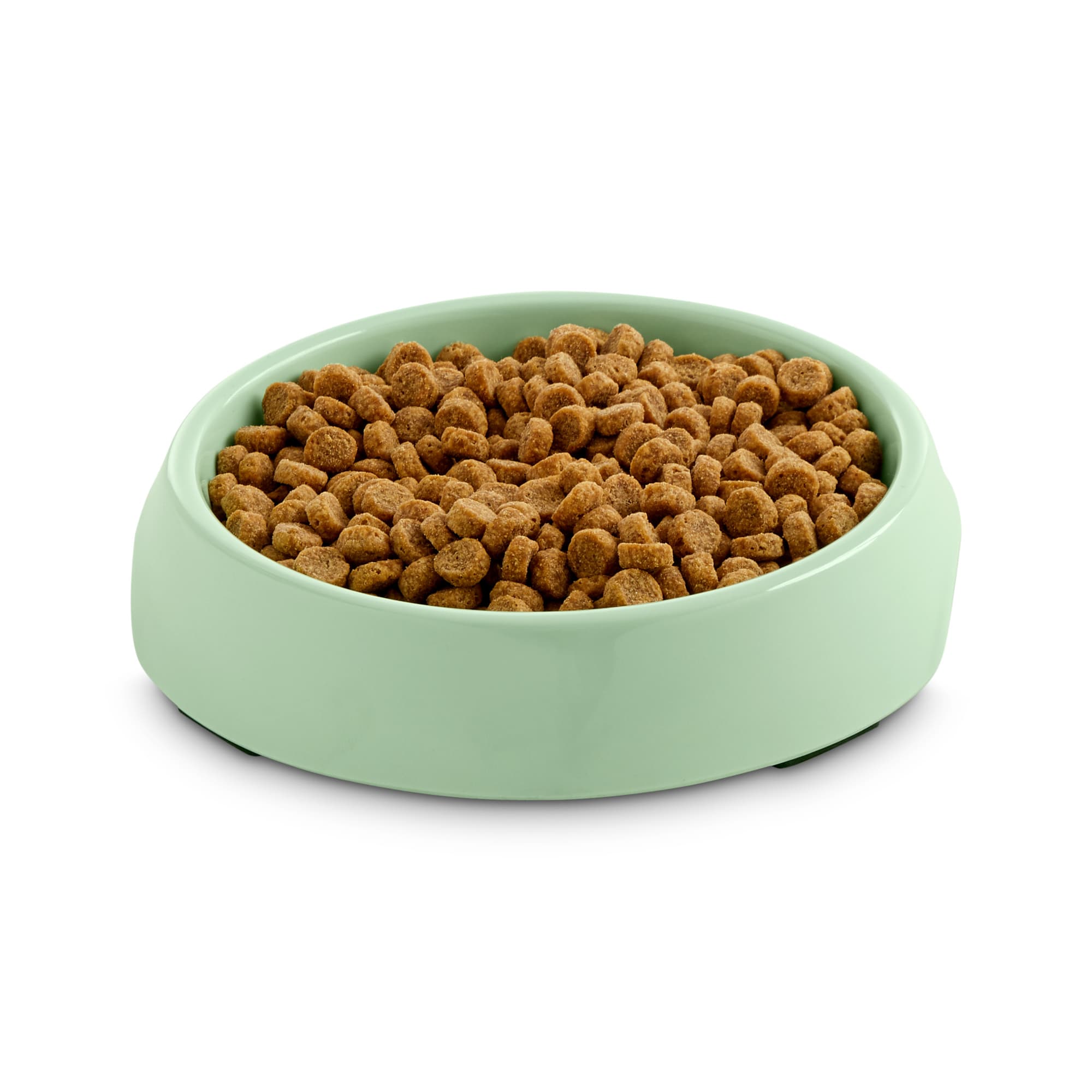 The cat shop bowl