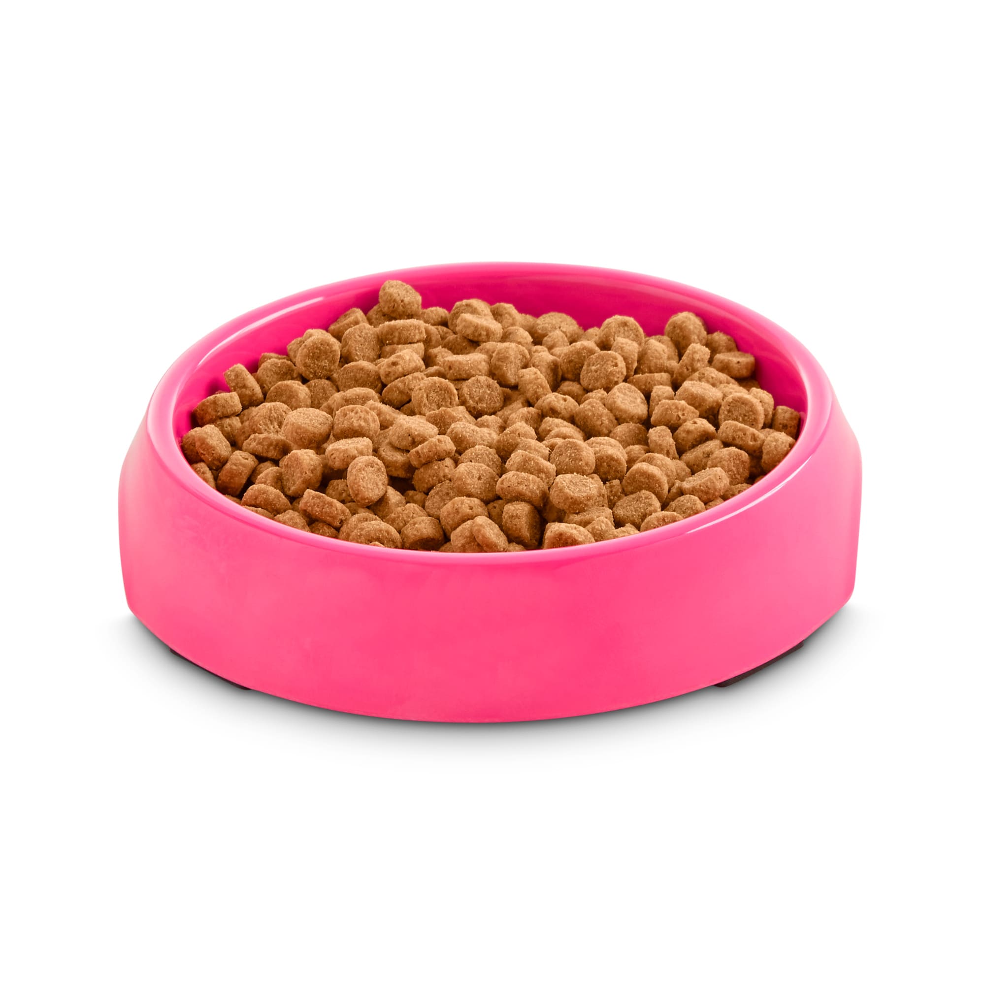 Petco shop cat bowl