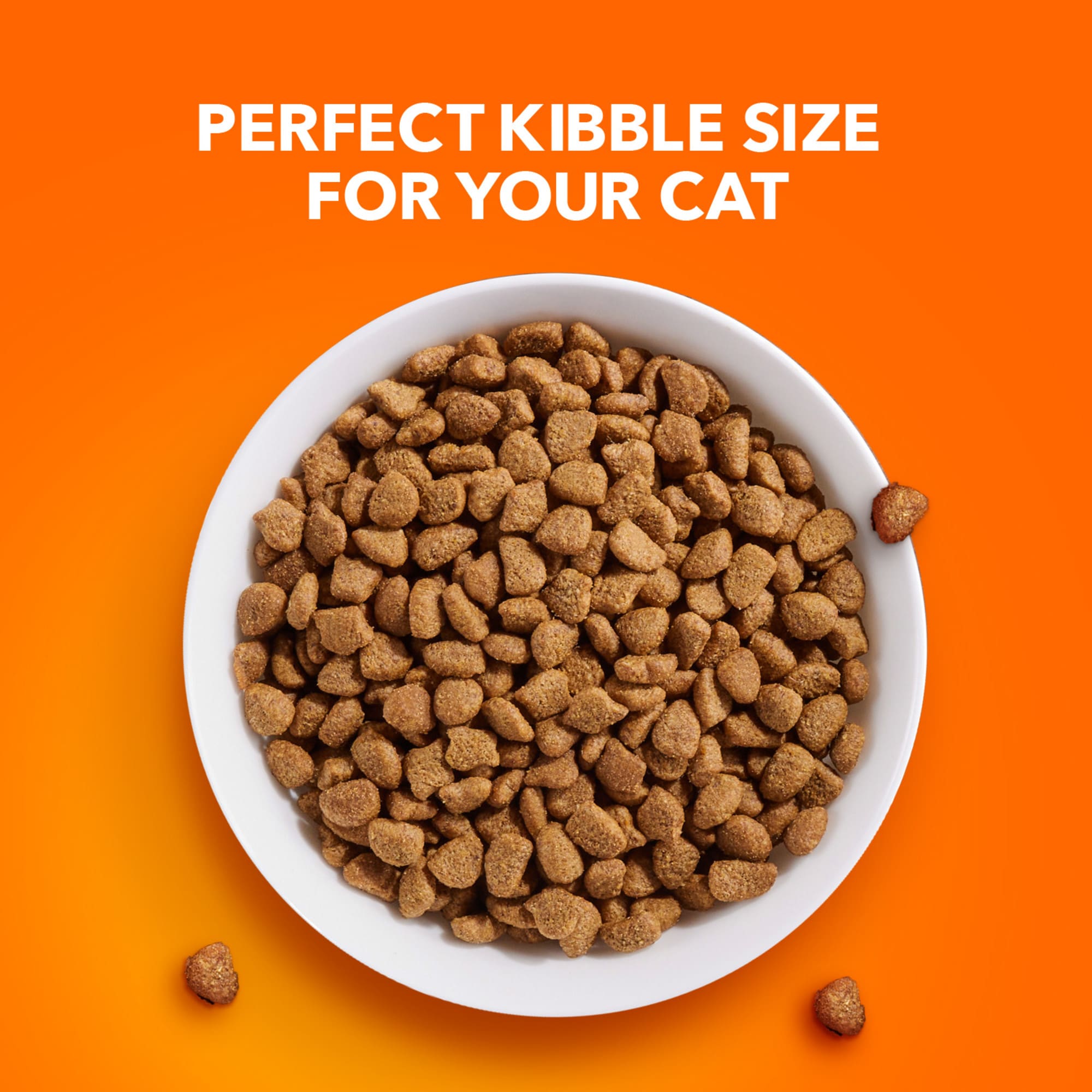 Iams urinary cheap cat food