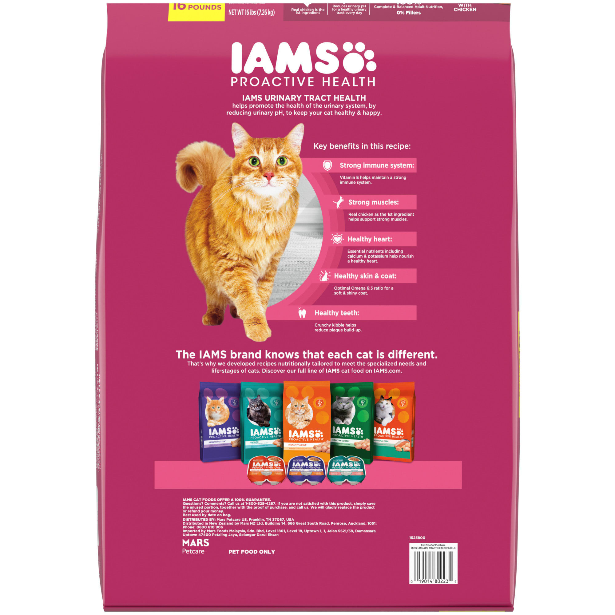 Best dry cat food for urinary health best sale