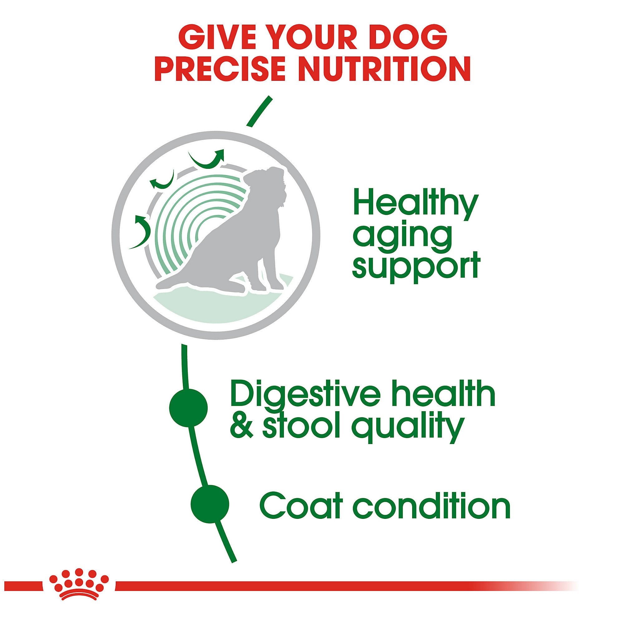 royal canin indoor senior