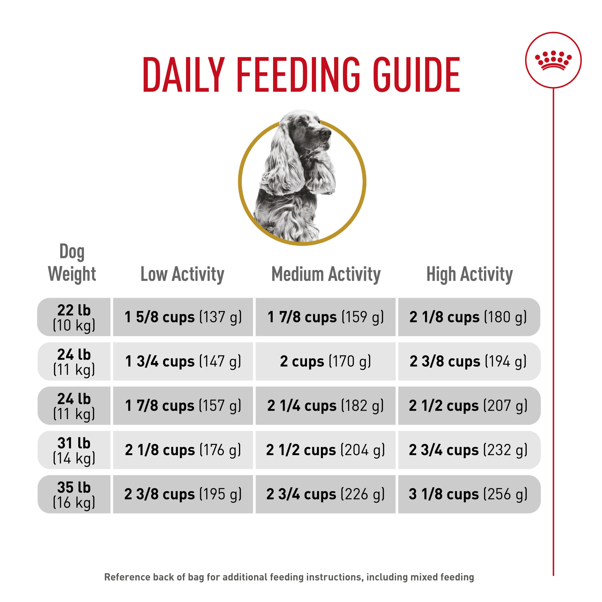 Royal Canin Breed Health Nutrition Cocker Spaniel Adult Dry Dog