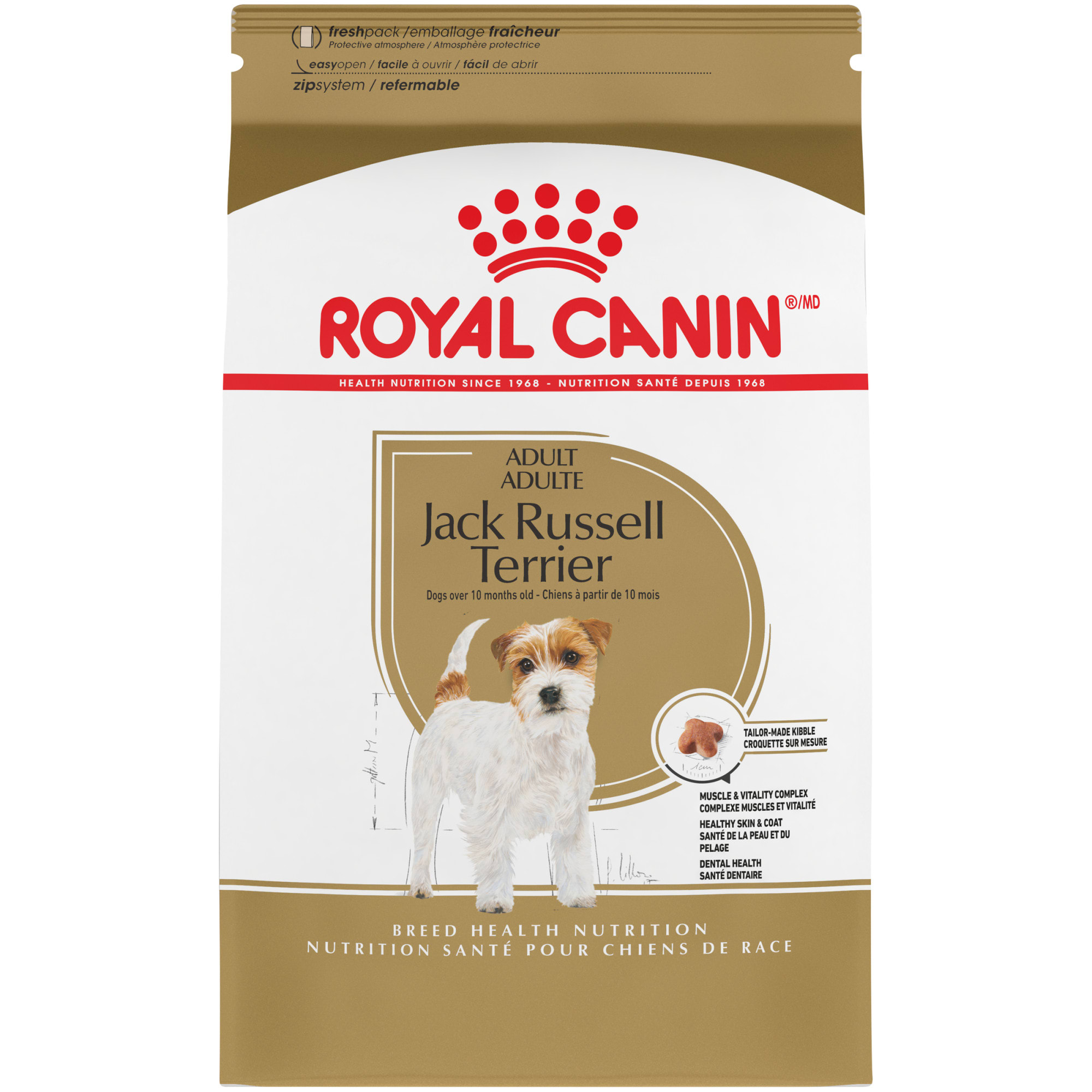 What is the Best Dog Food for Jack Russells?