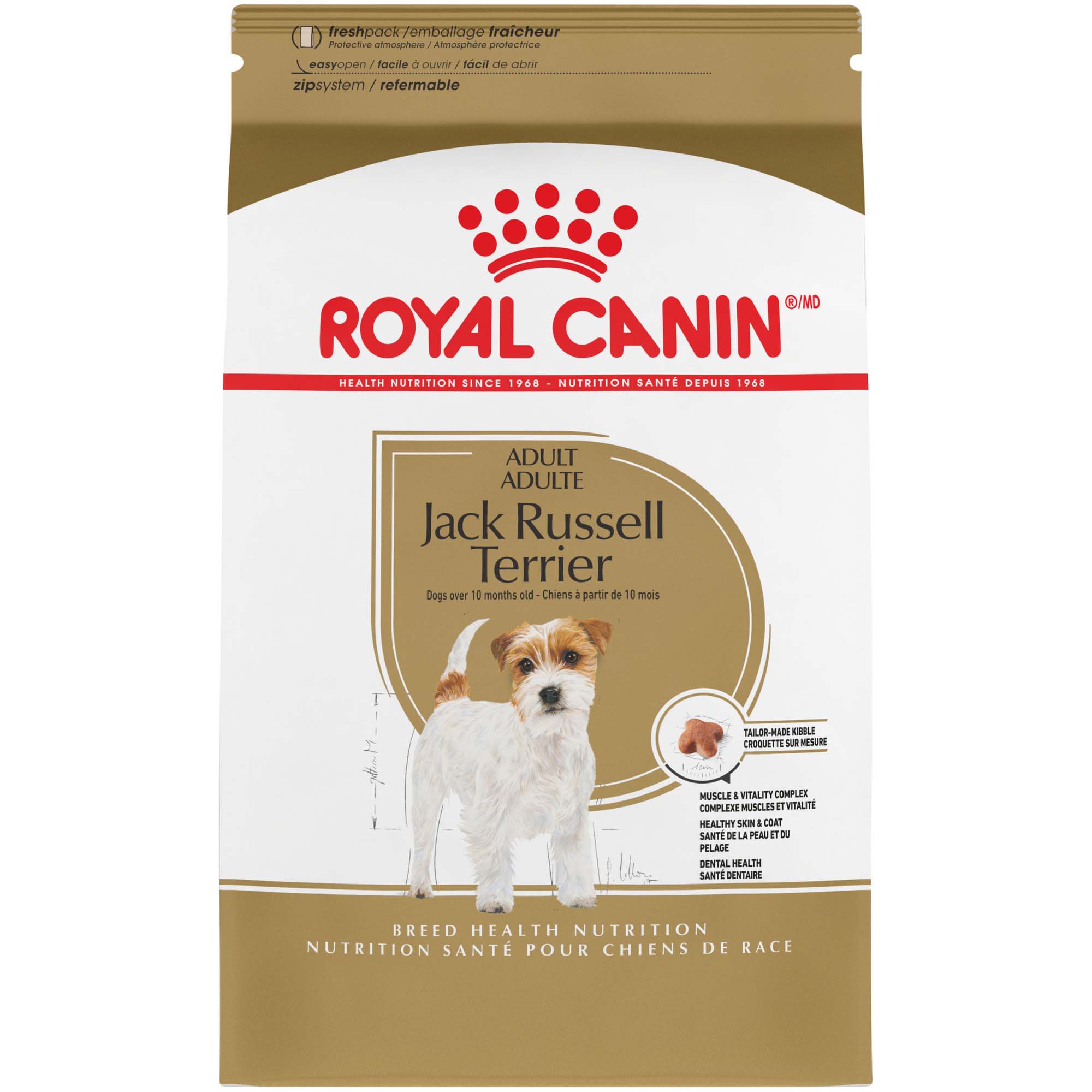 royal canin jack russell terrier