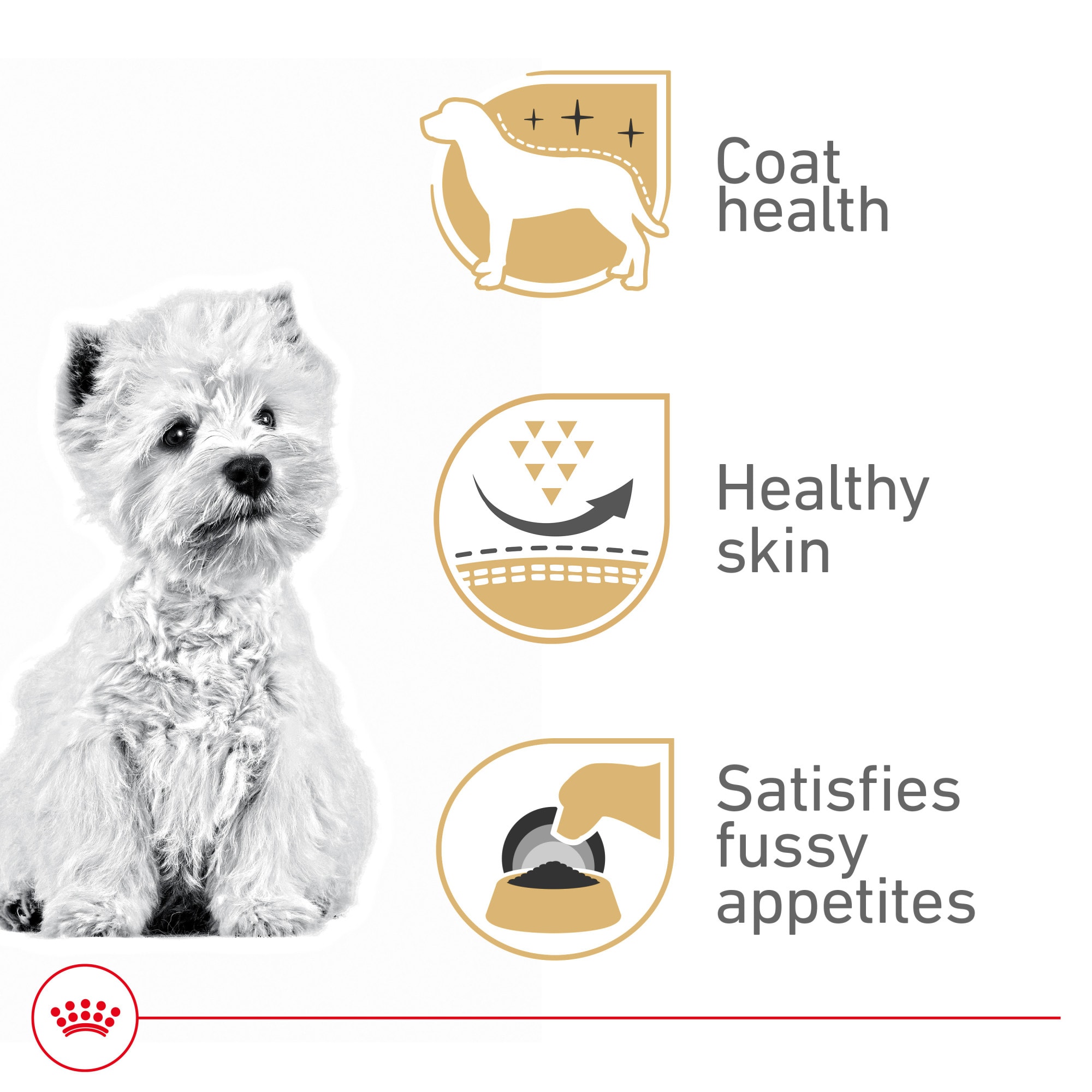 Royal Canin Westie Puppy Feeding Guide Royal Canin West Highland Terrier  Adult Dry Dog Food, 10 Petco