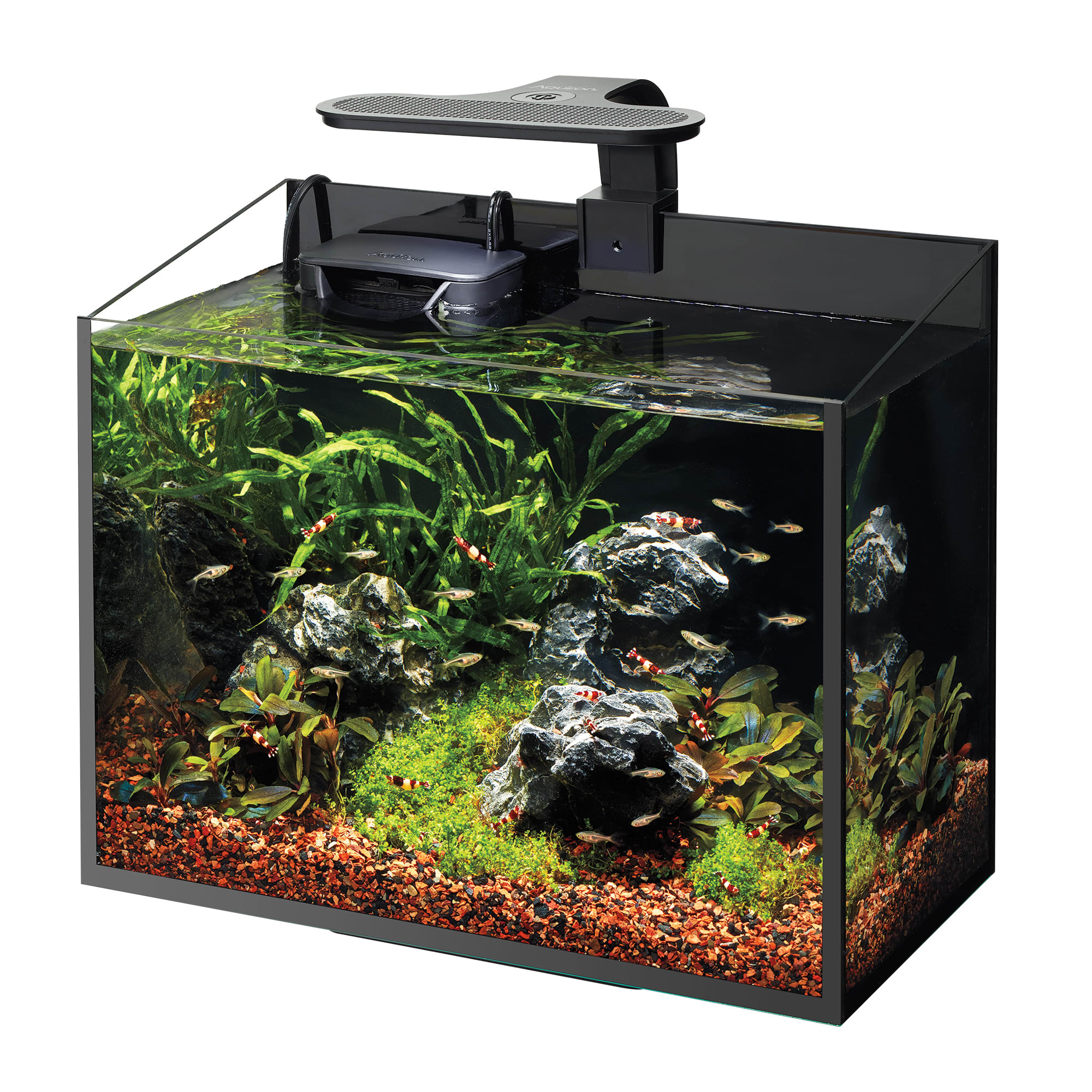 Aqueon Live Planted Aquarium Clip On LED Fixture Petco