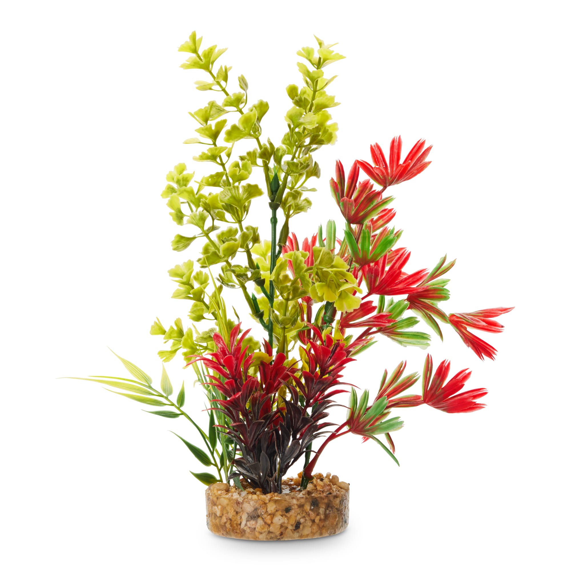 aquarium plants pets at home