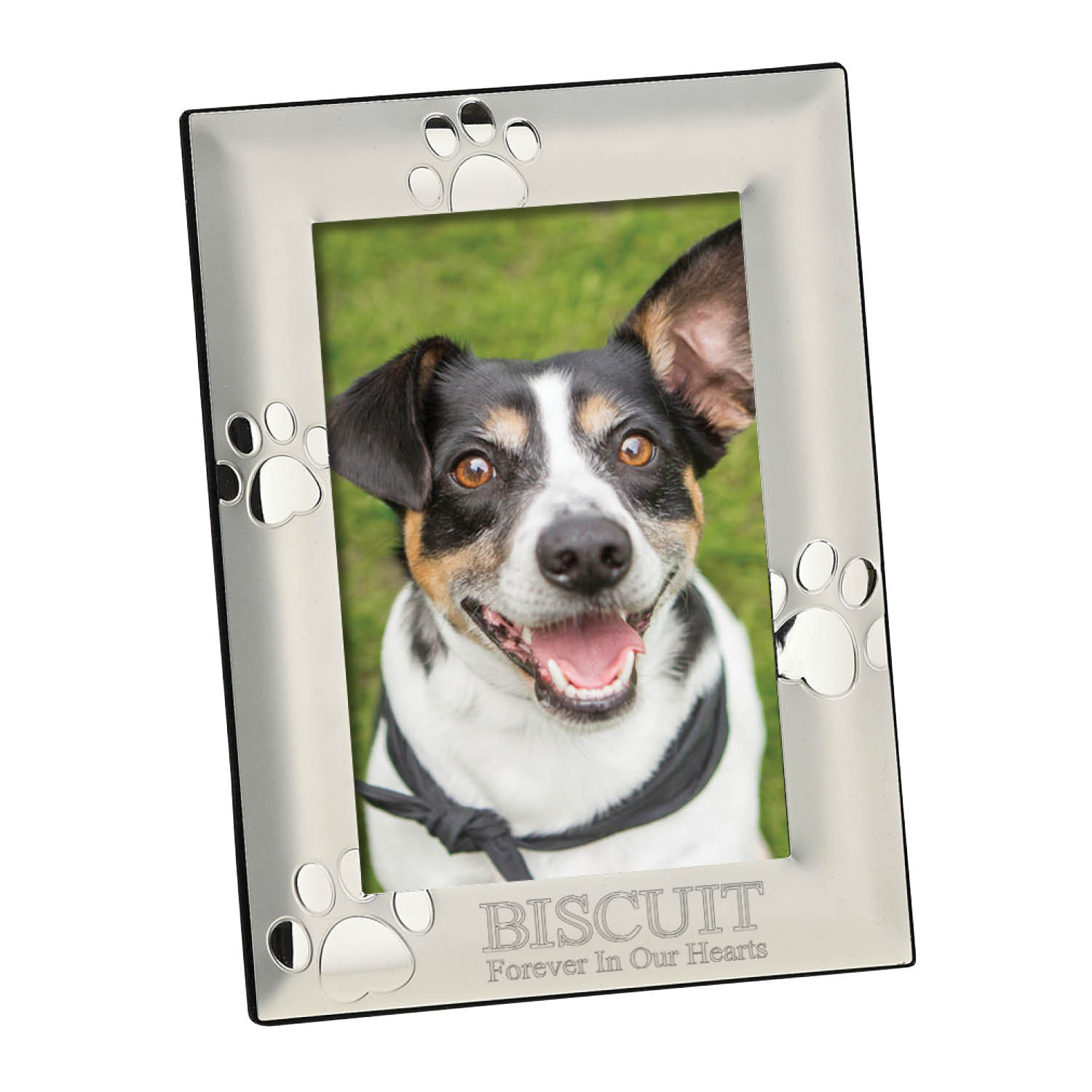 Dog picture store frames