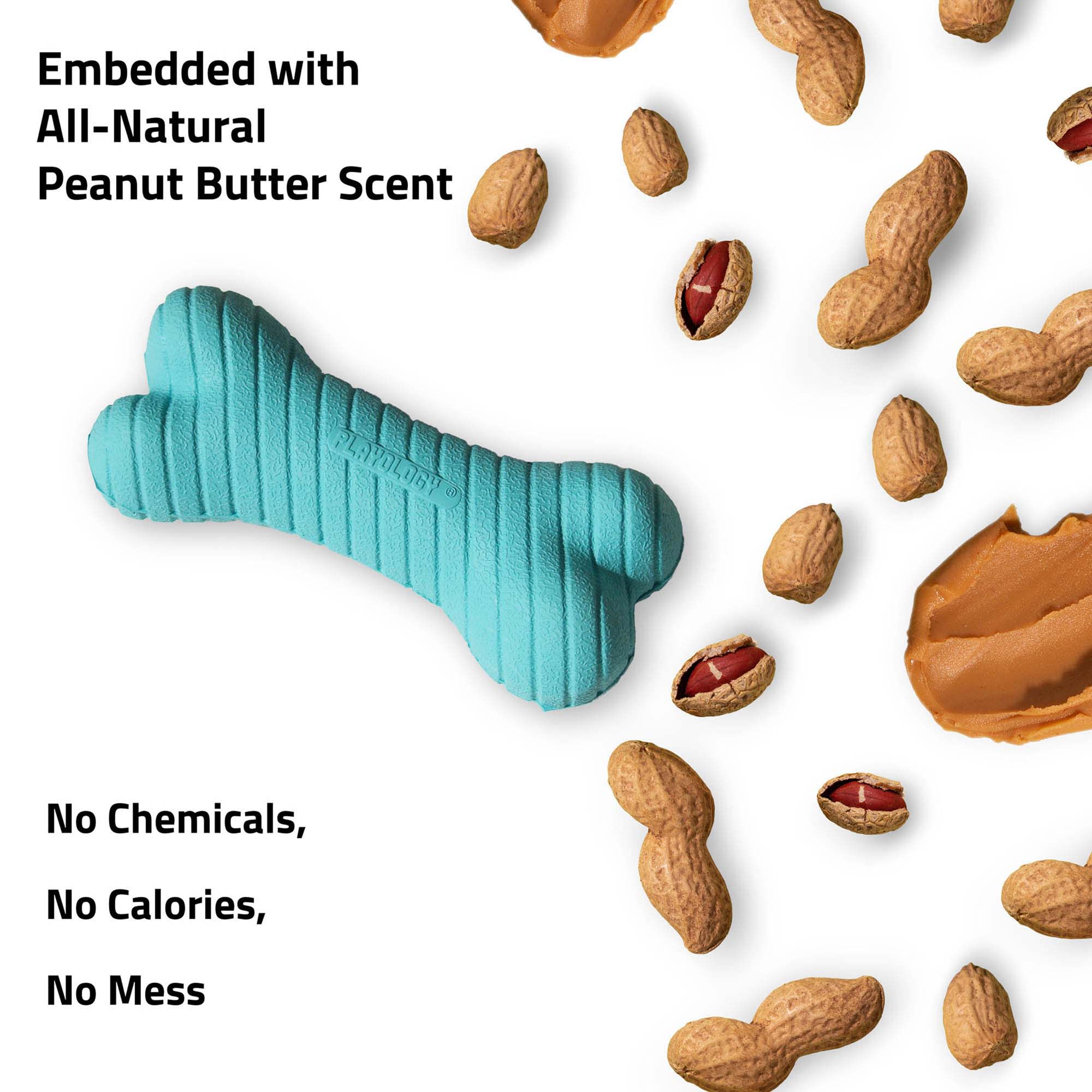 Playology Plush Bone Peanut Butter Scented Dog Toy – Petsense