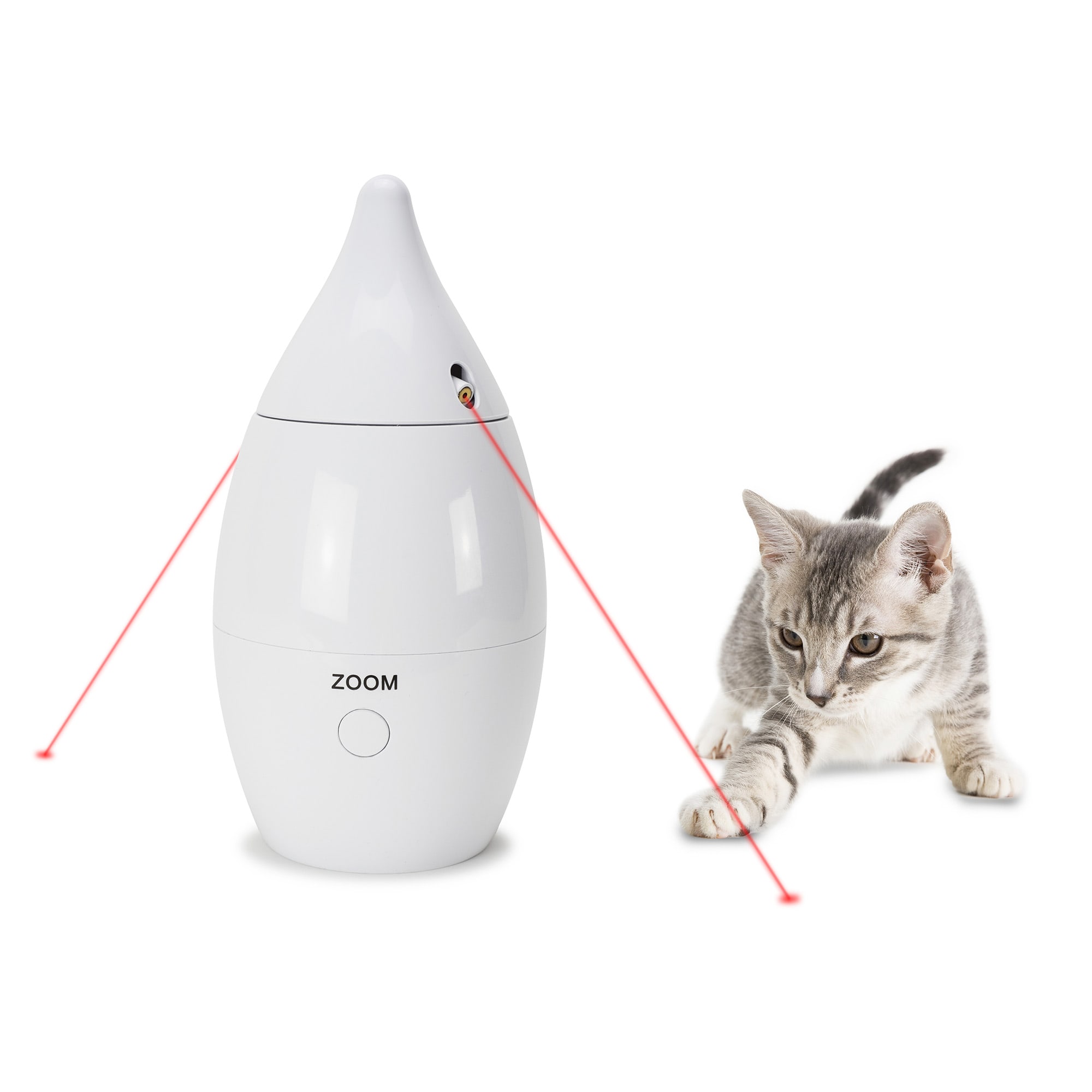 Safe laser best sale pointer for cats